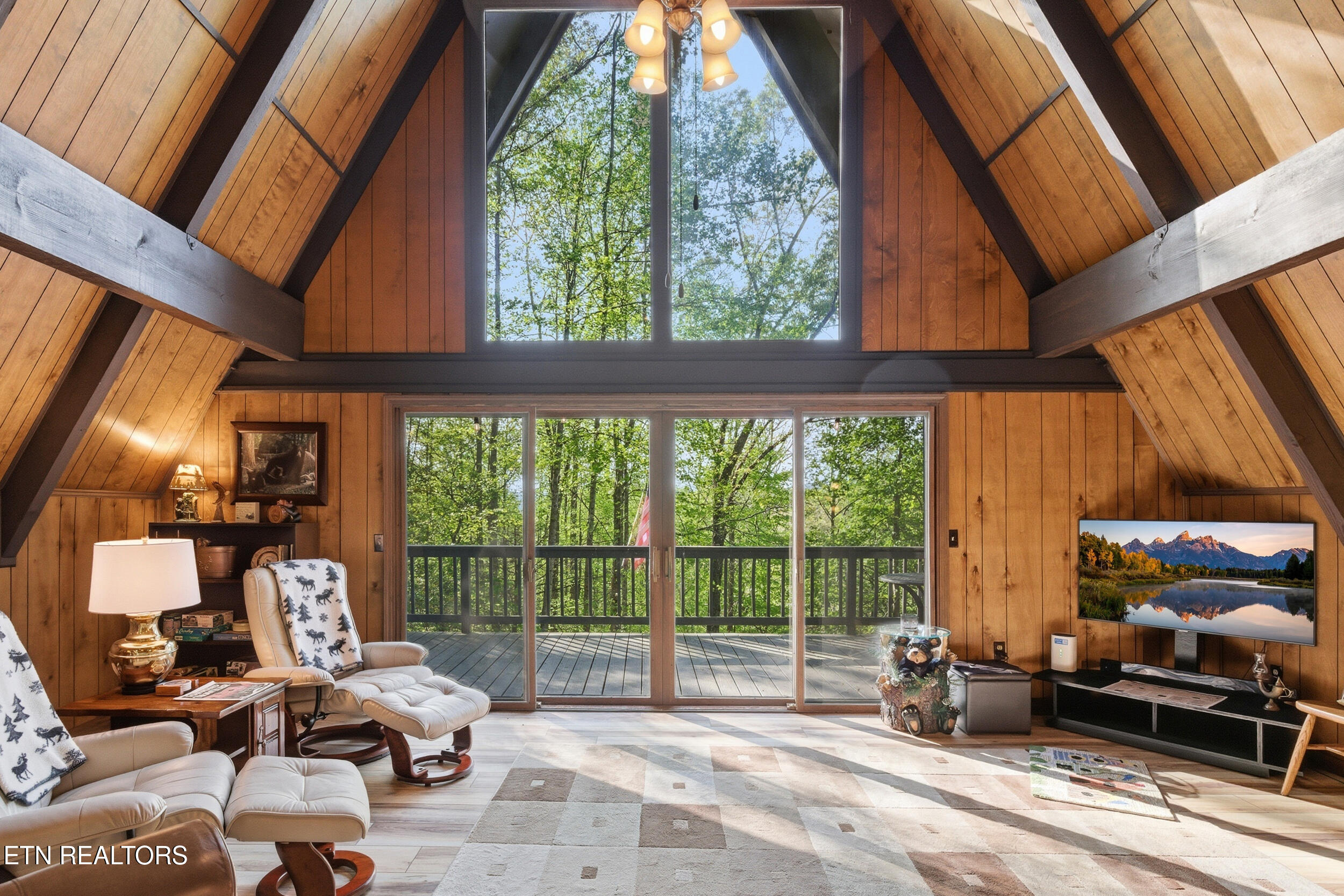 313 Domar Drive Townsend TN 37882