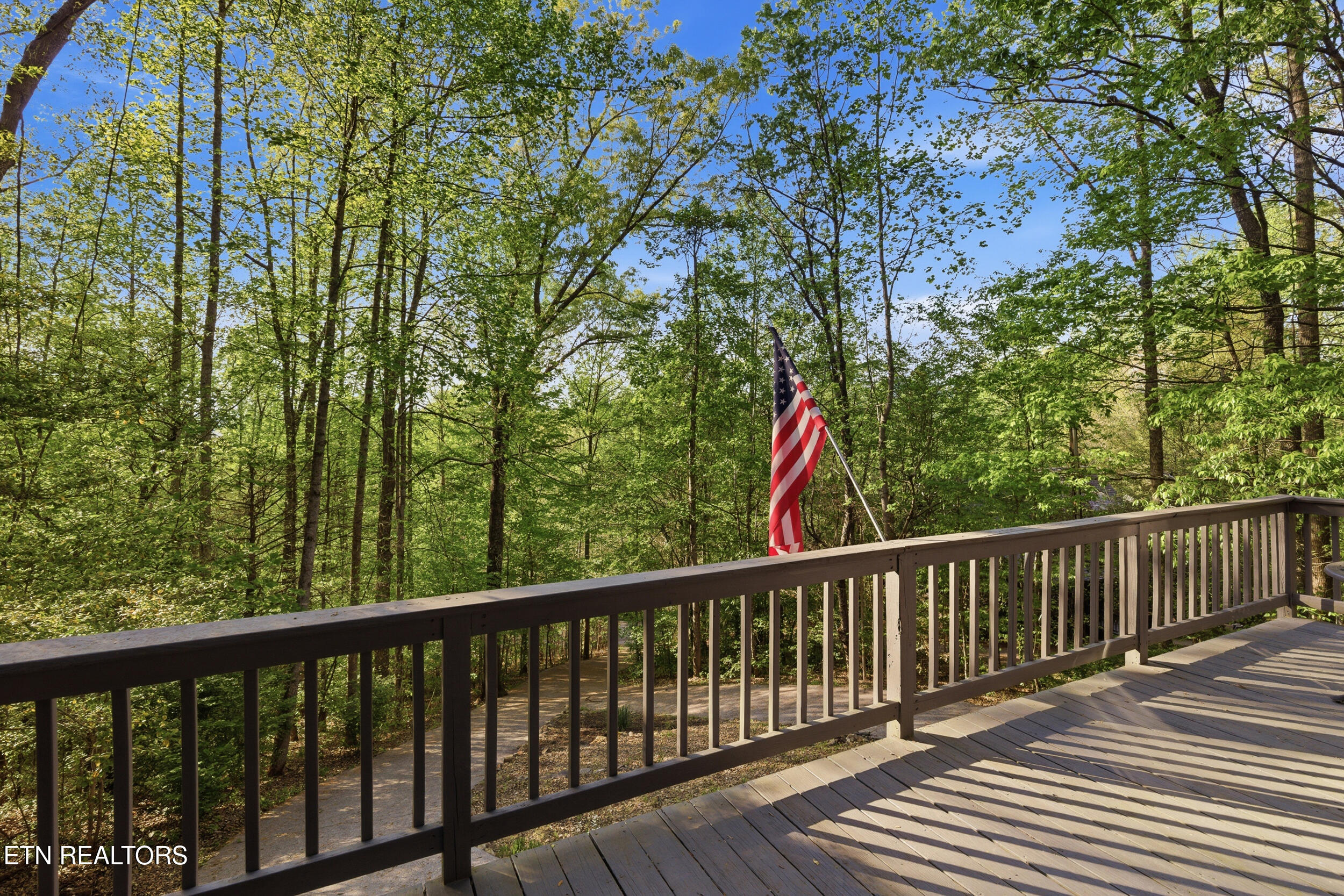313 Domar Drive Townsend TN 37882
