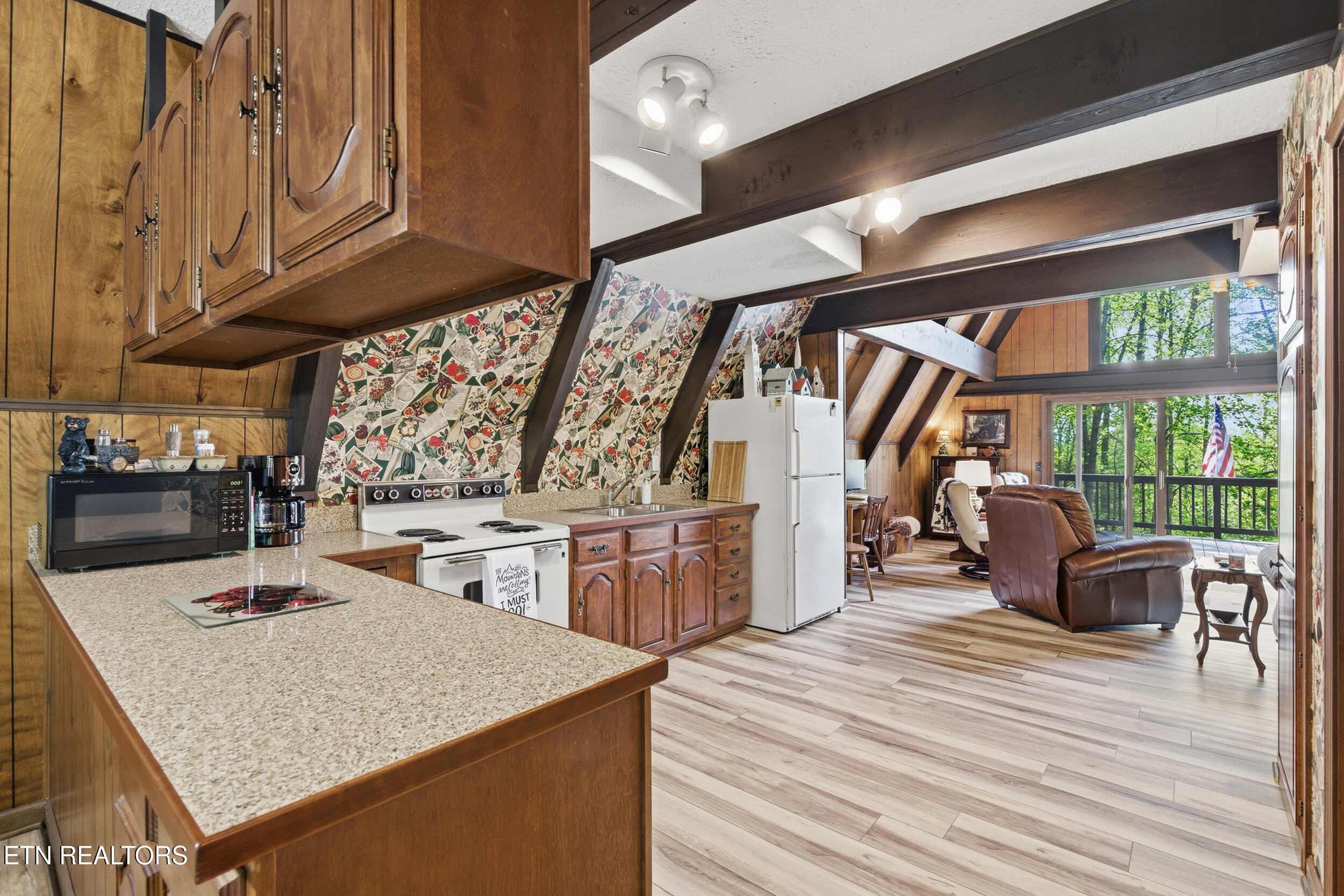 313 Domar Drive Townsend TN 37882