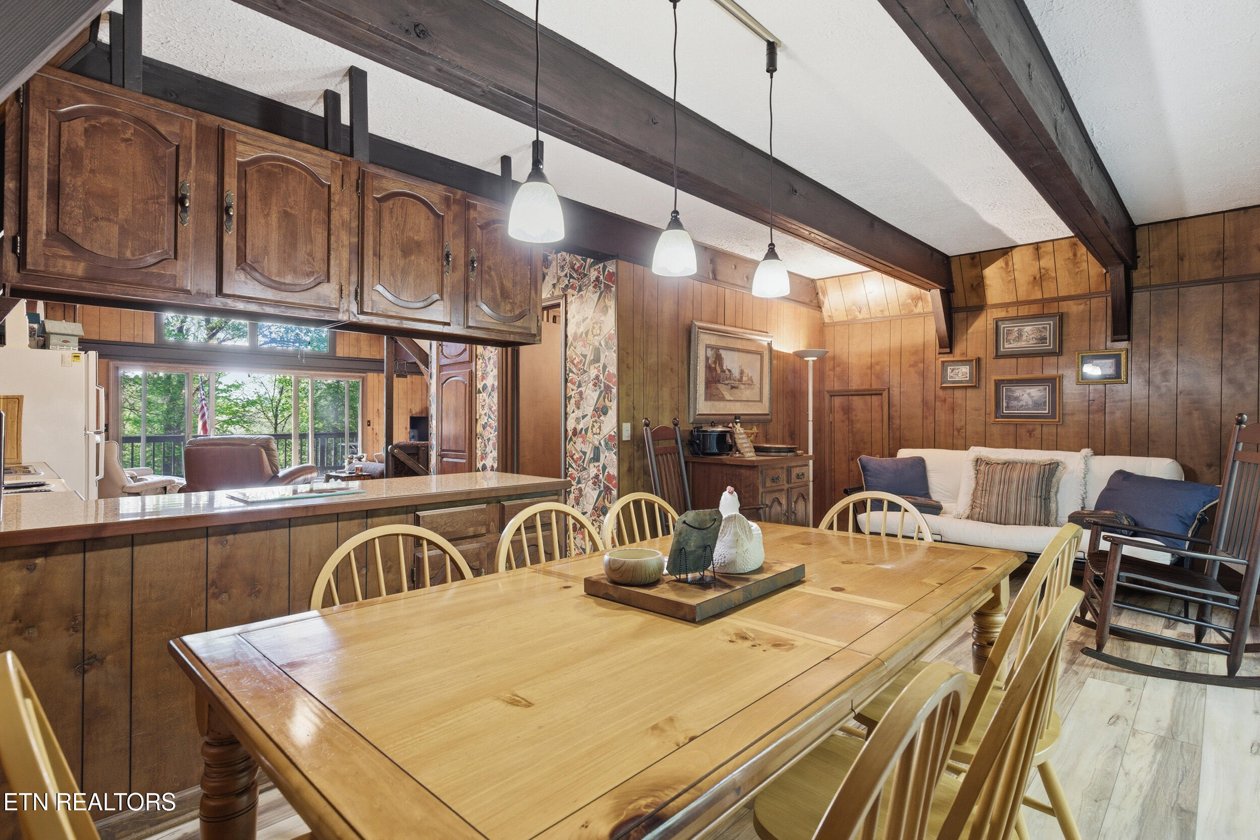 313 Domar Drive Townsend TN 37882