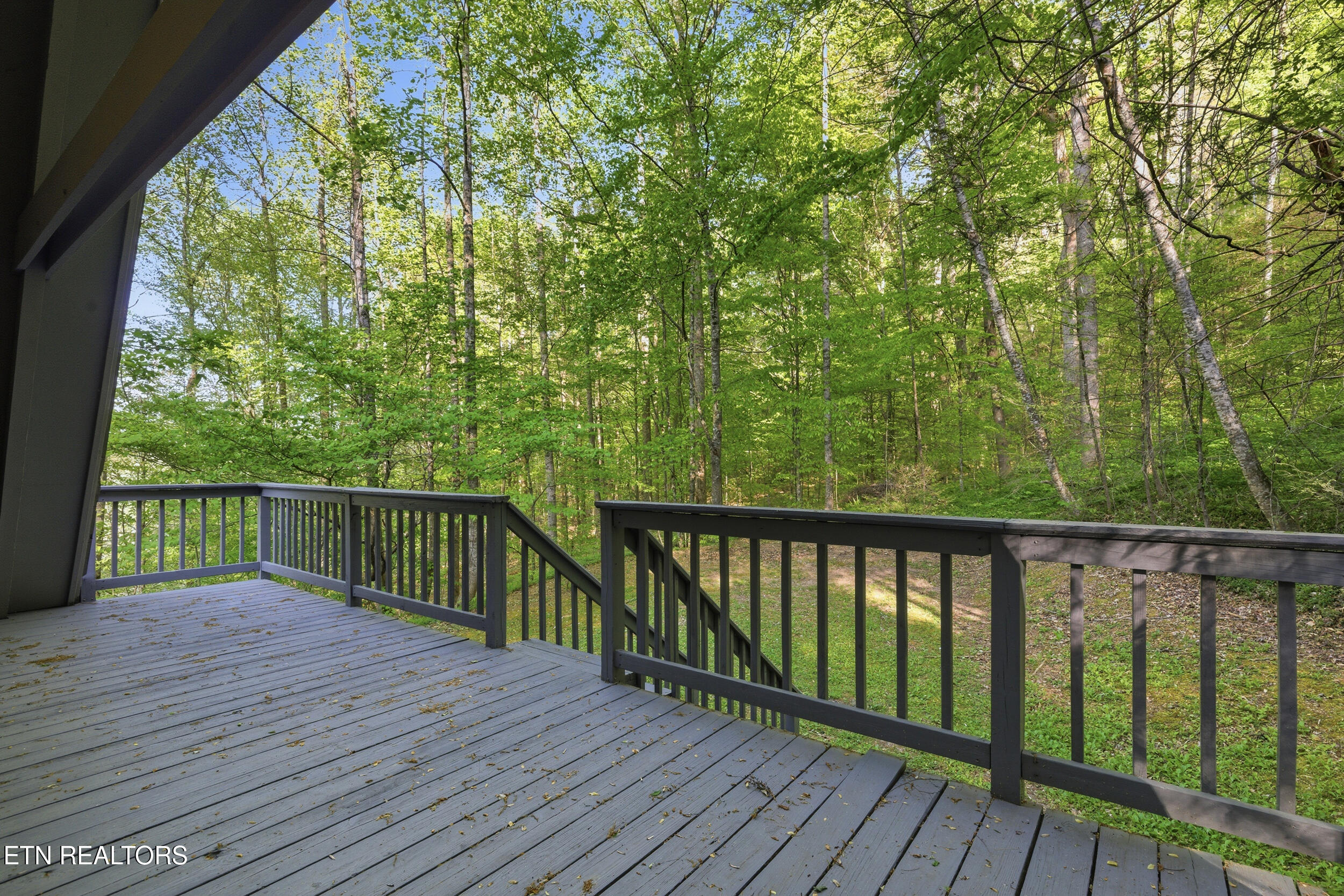 313 Domar Drive Townsend TN 37882