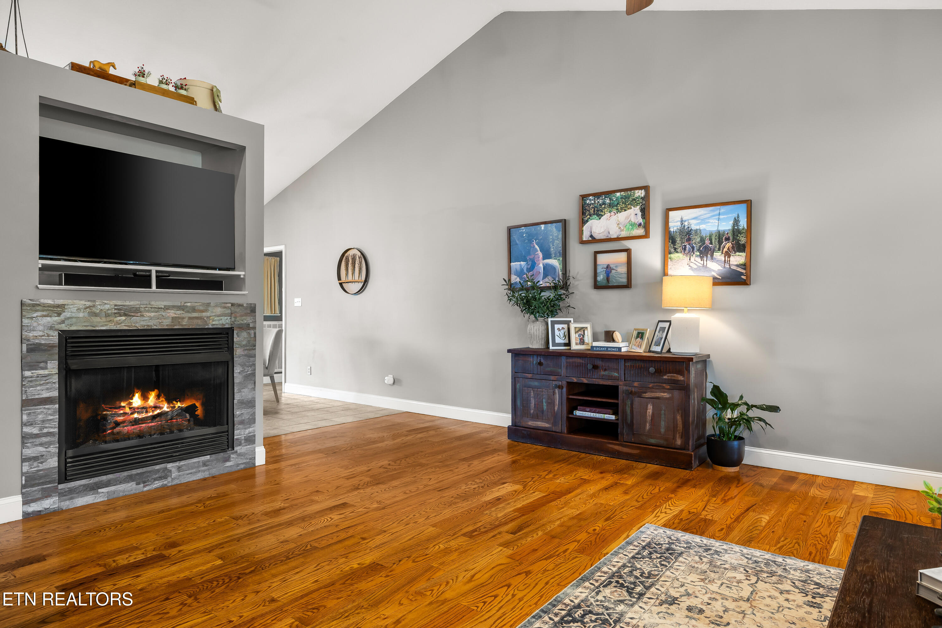 1518 Caleb Trail Greenback TN 37742