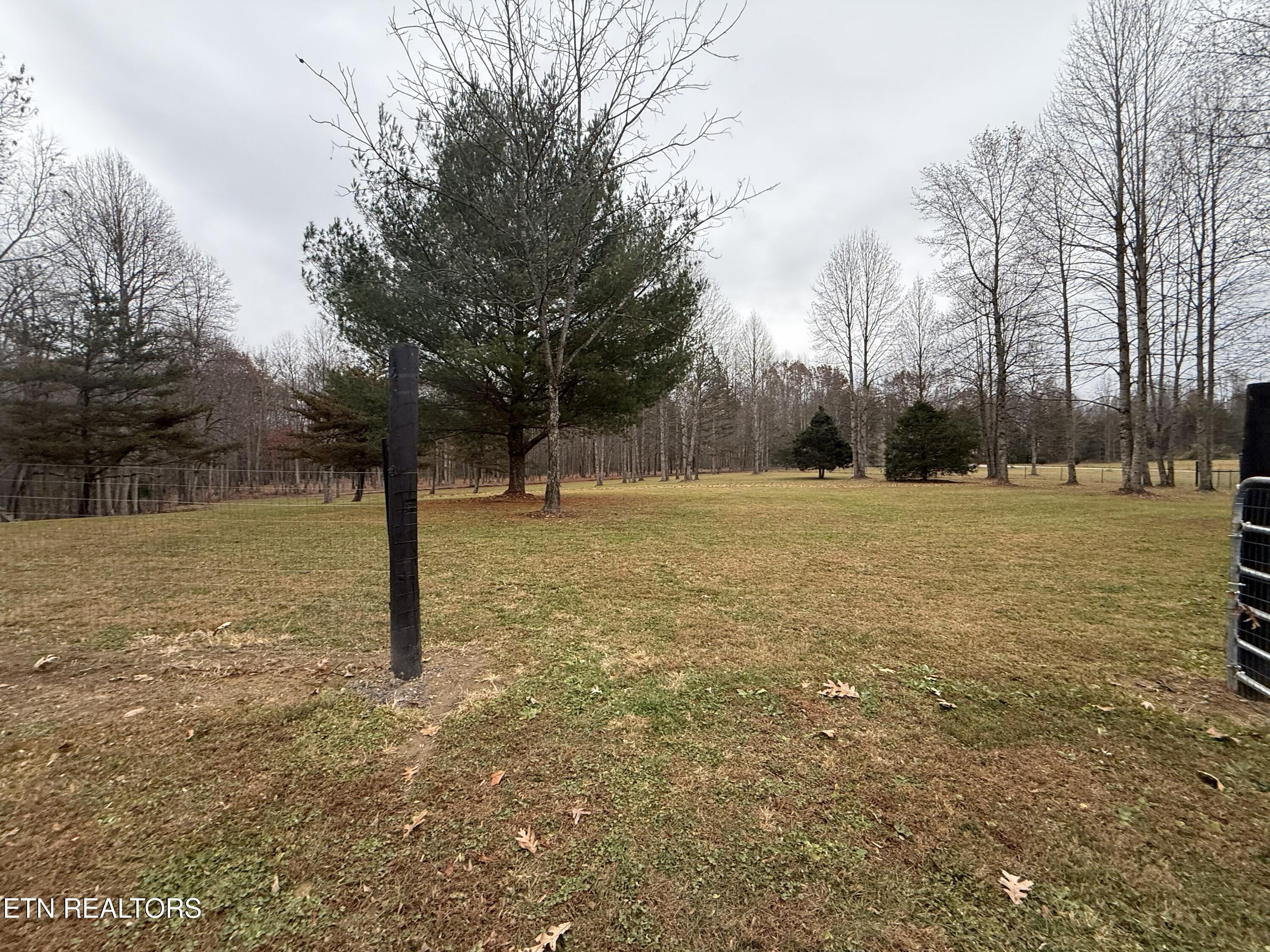 1169 Terry Lane Jamestown TN 38556