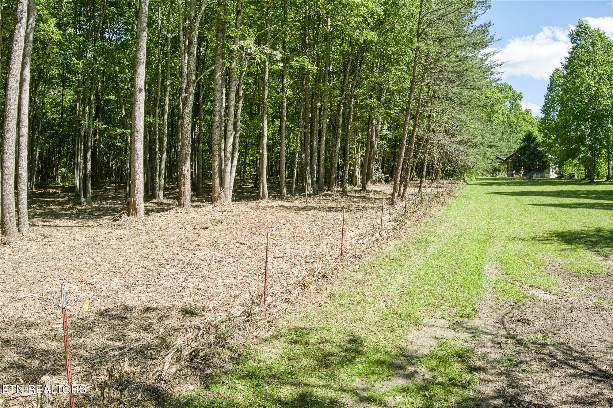 1169 Terry Lane Jamestown TN 38556