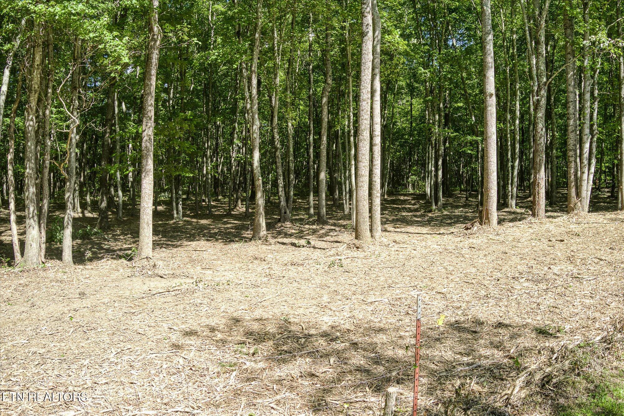 1169 Terry Lane Jamestown TN 38556