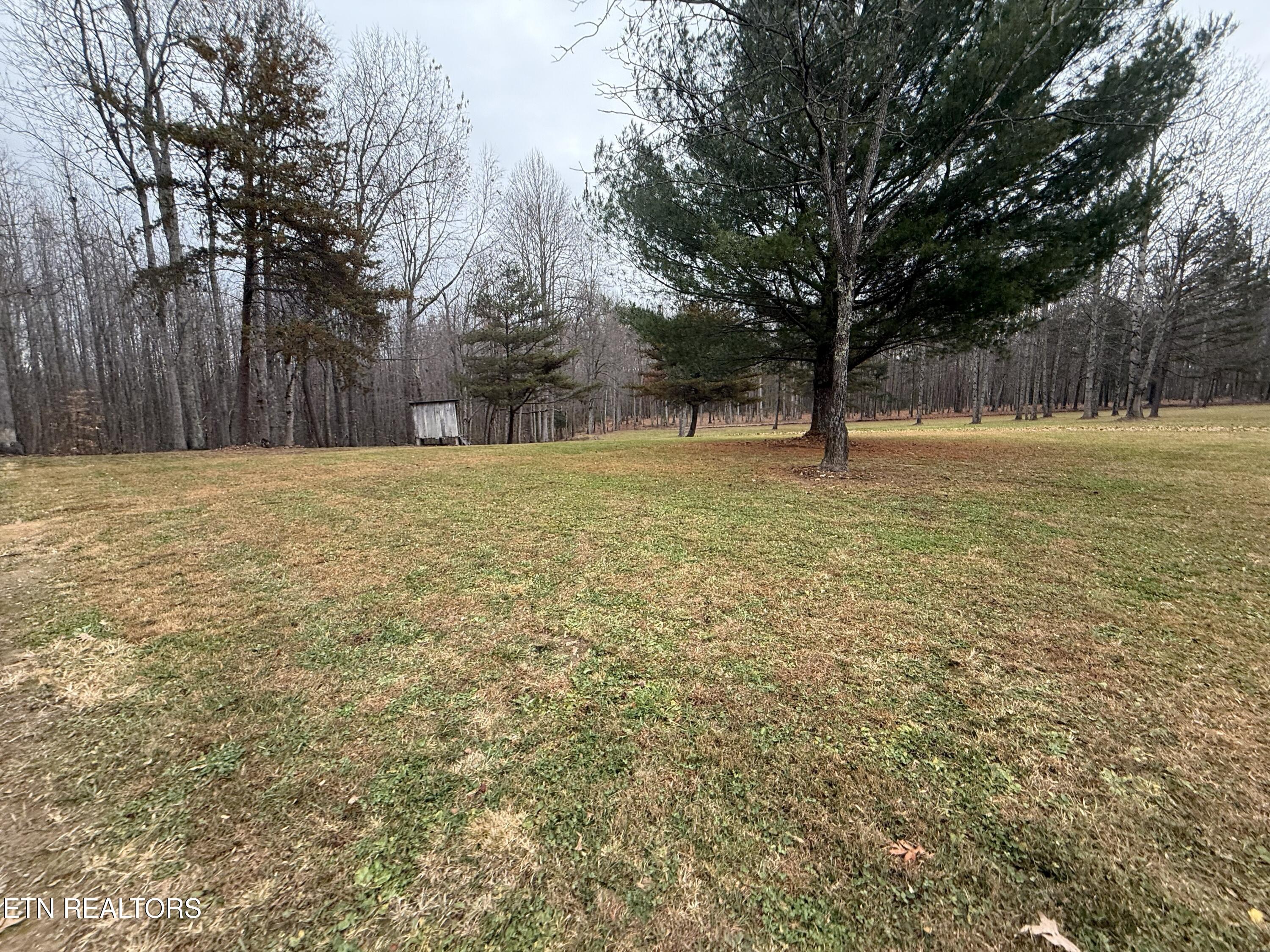1169 Terry Lane Jamestown TN 38556