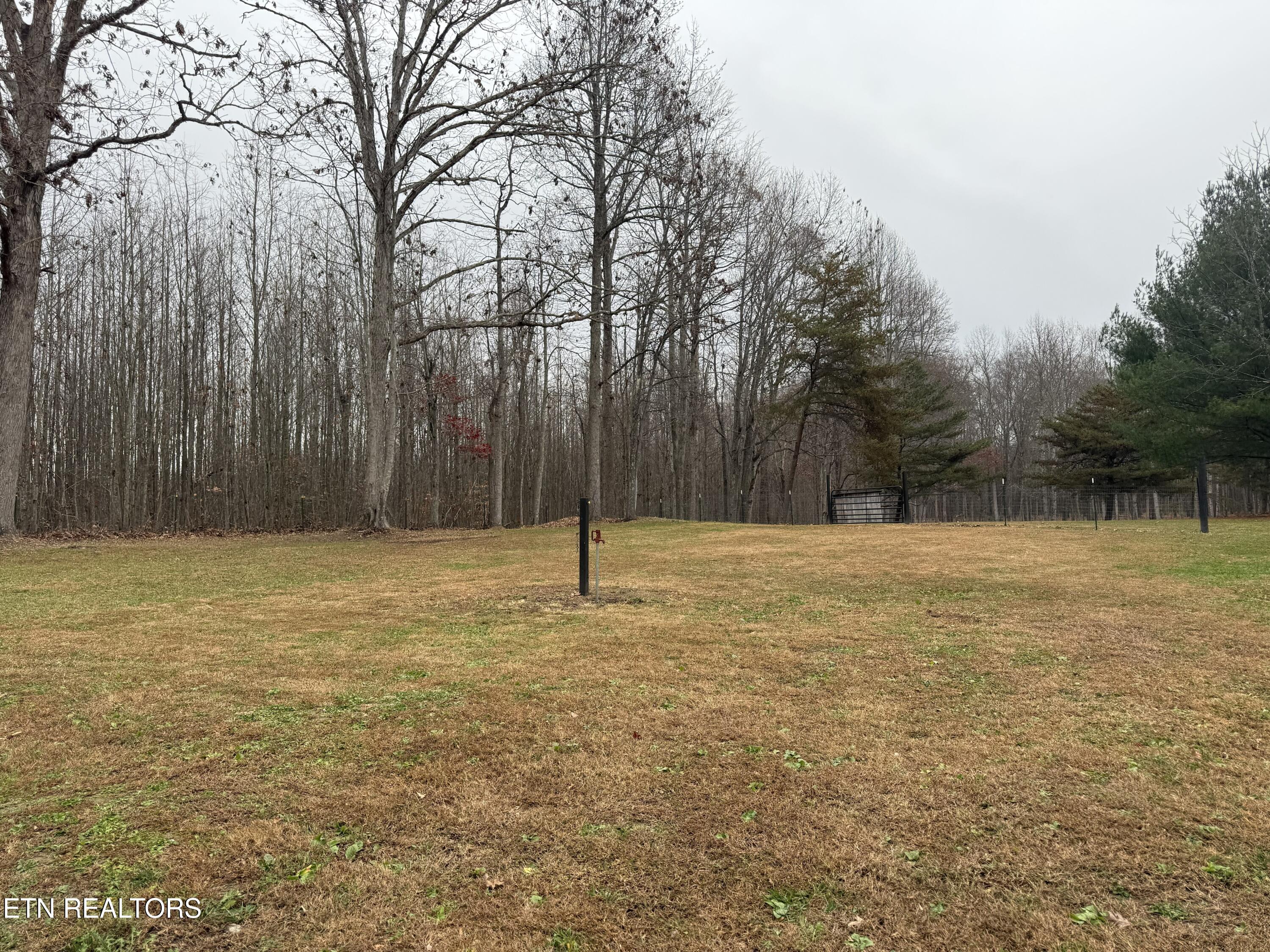 1169 Terry Lane Jamestown TN 38556