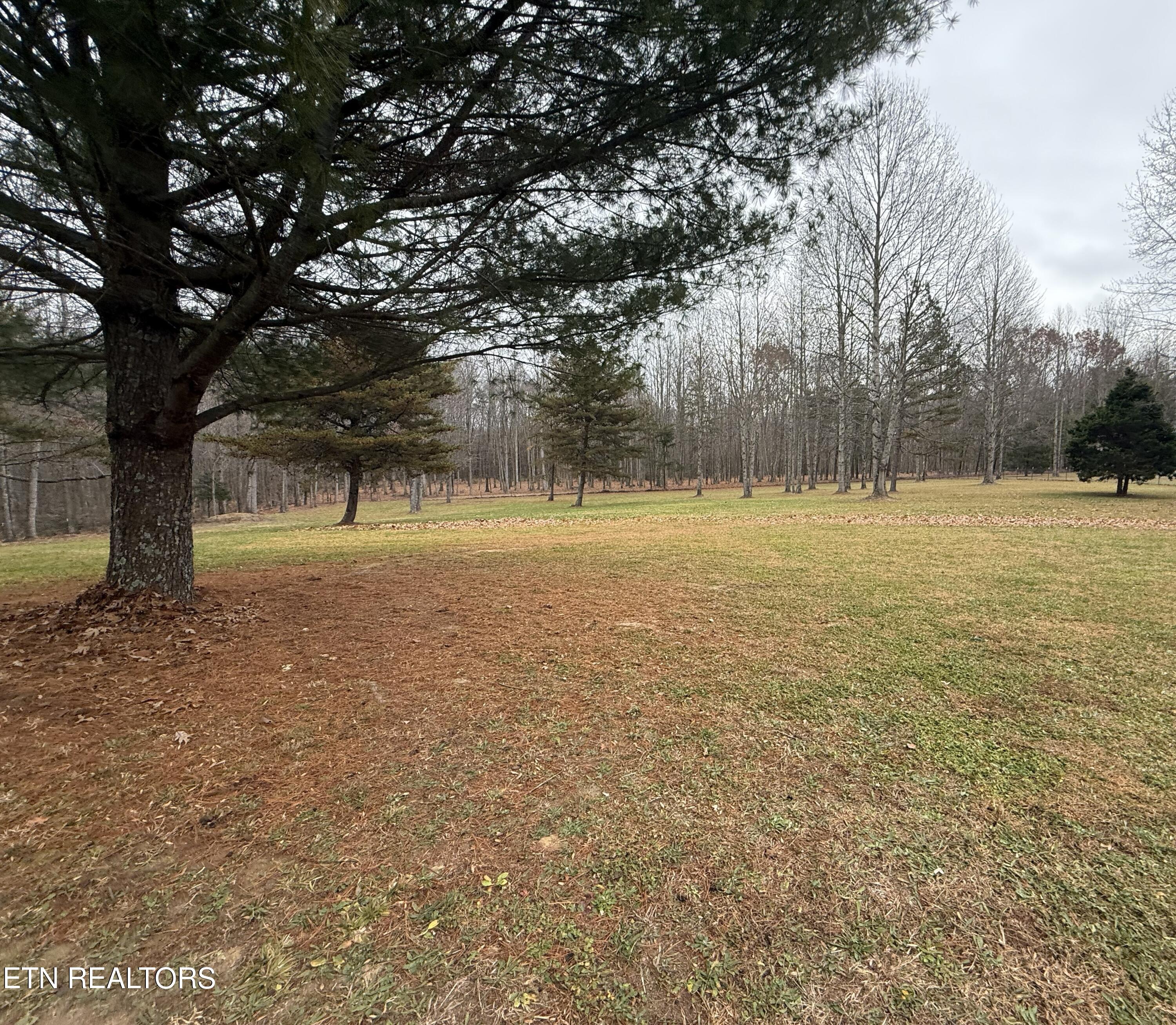1169 Terry Lane Jamestown TN 38556