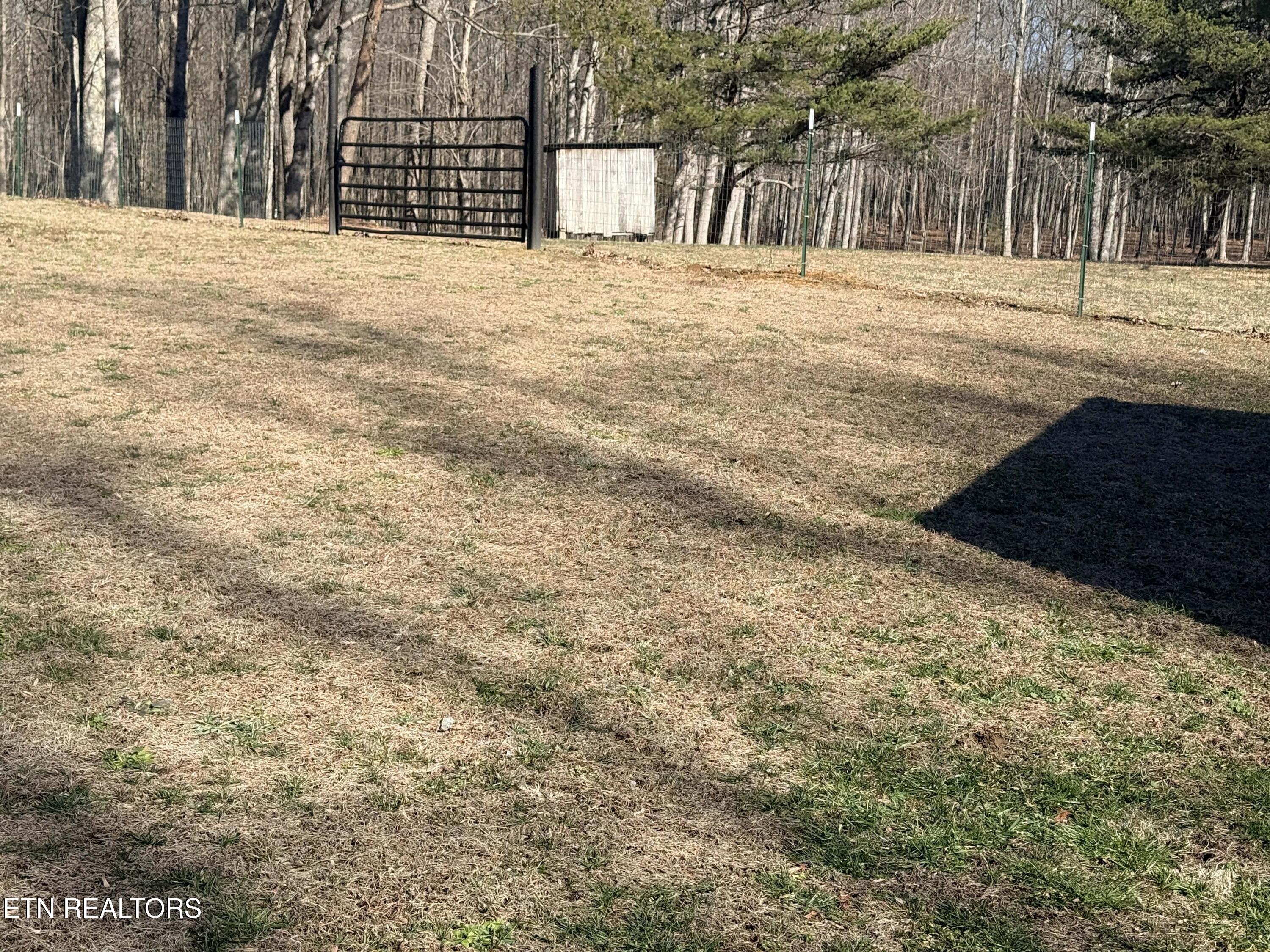 1169 Terry Lane Jamestown TN 38556