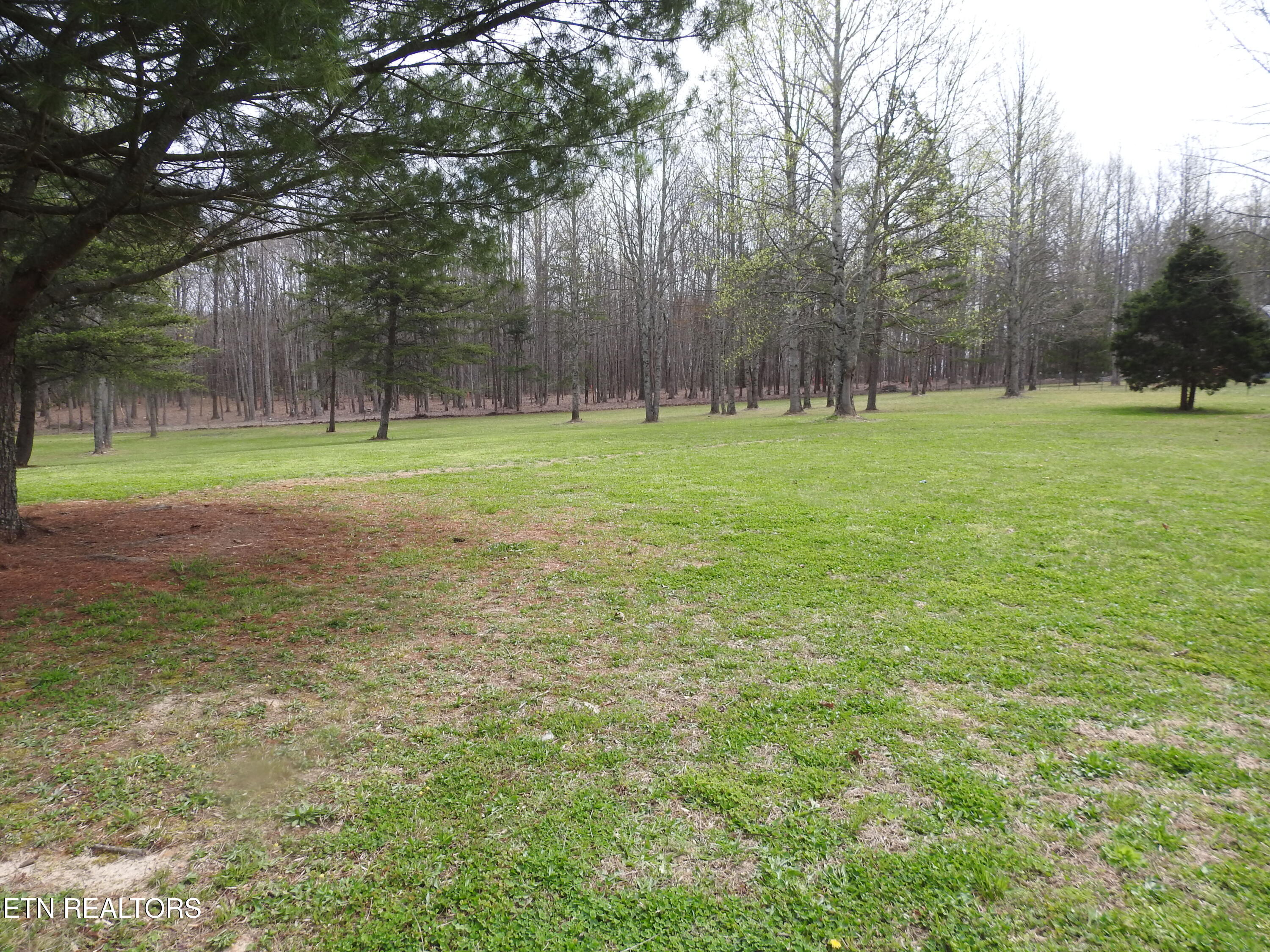 1169 Terry Lane Jamestown TN 38556