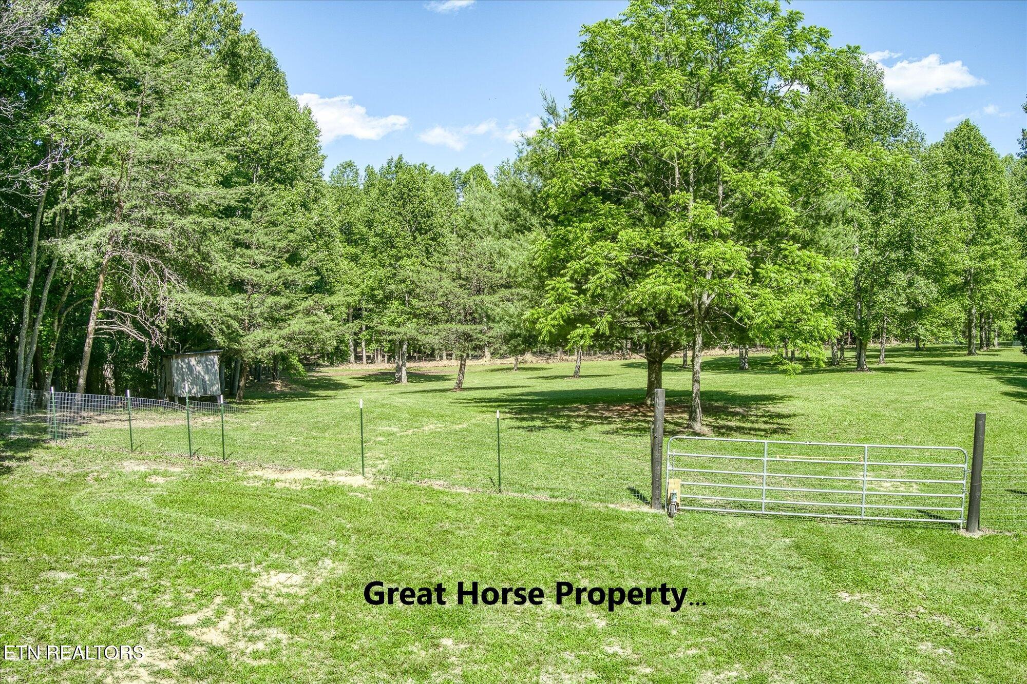 1169 Terry Lane Jamestown TN 38556