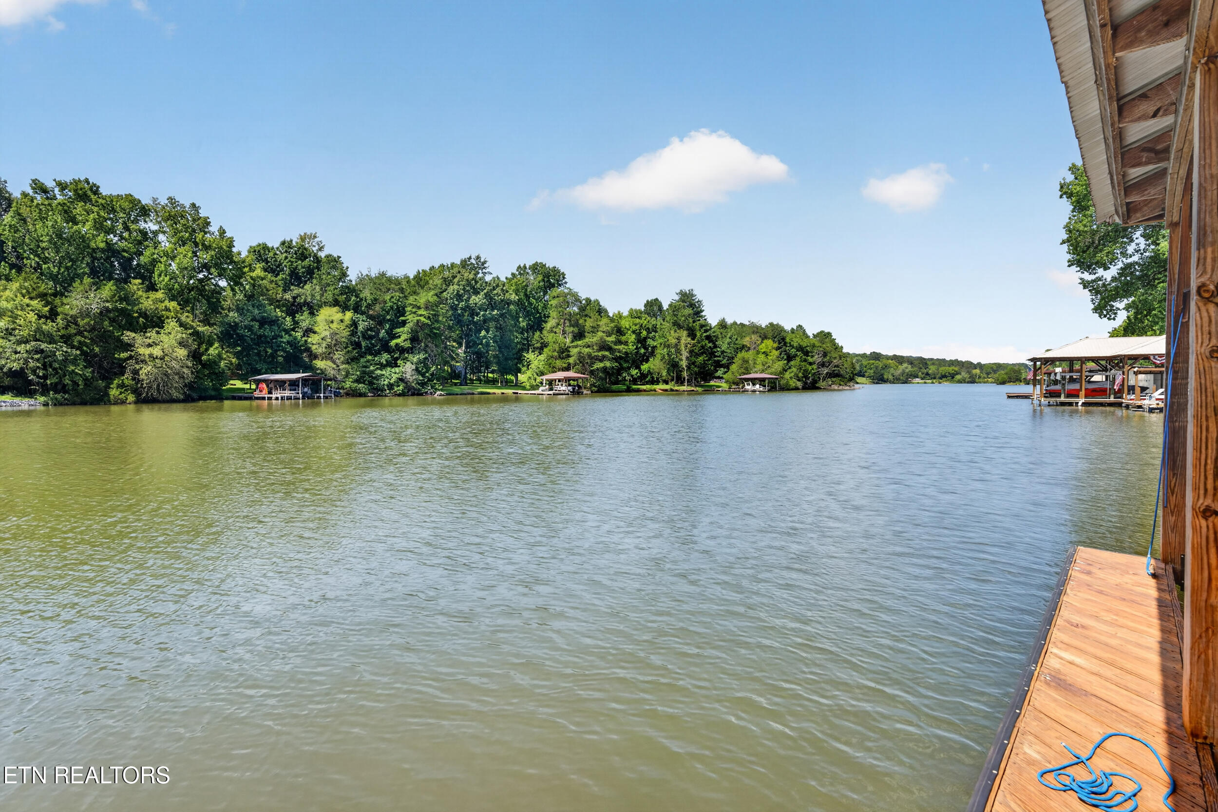 186 Lakeview Cove Drive Loudon TN 37774