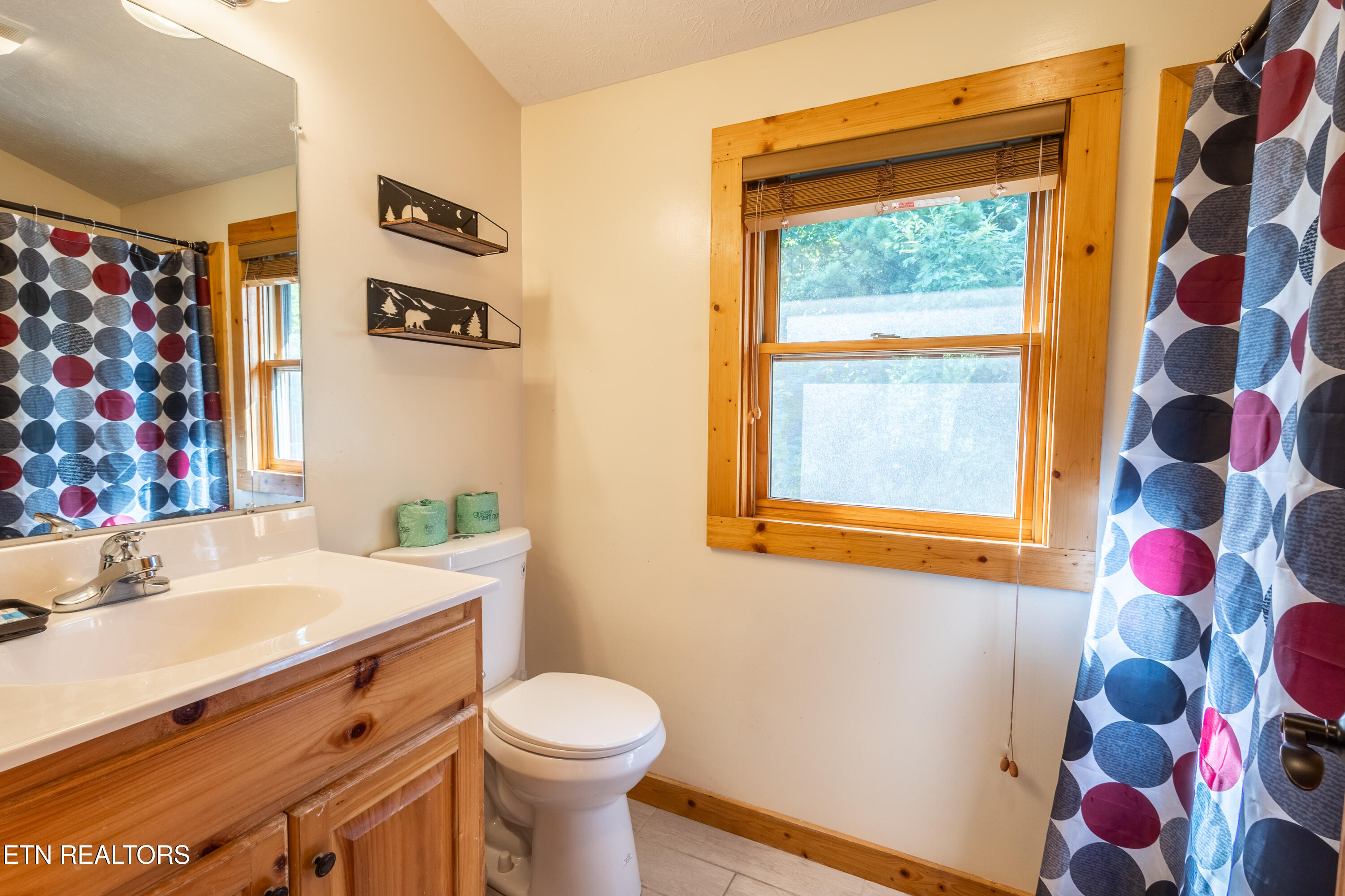 960 High Mountain Way Gatlinburg TN 37738