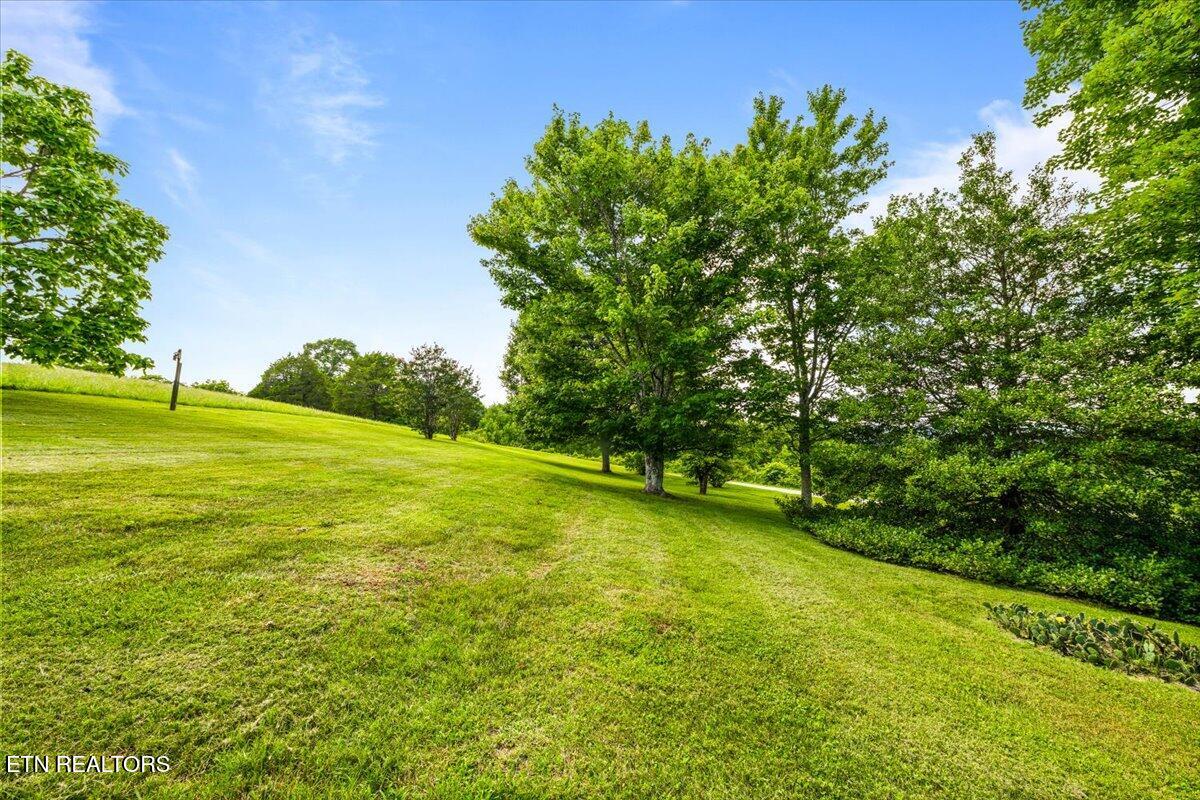 3824 Demory Road Lafollette TN 37766
