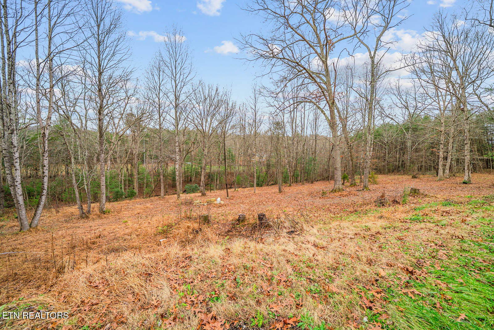 64 Pugh Road Crossville TN 38555