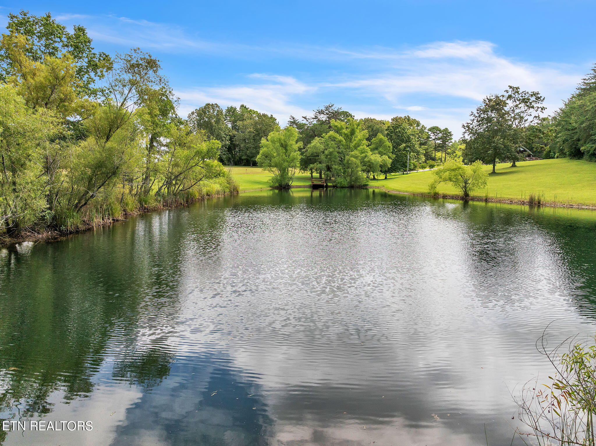 319 Four Mile Creek Road Deer Lodge TN 37726