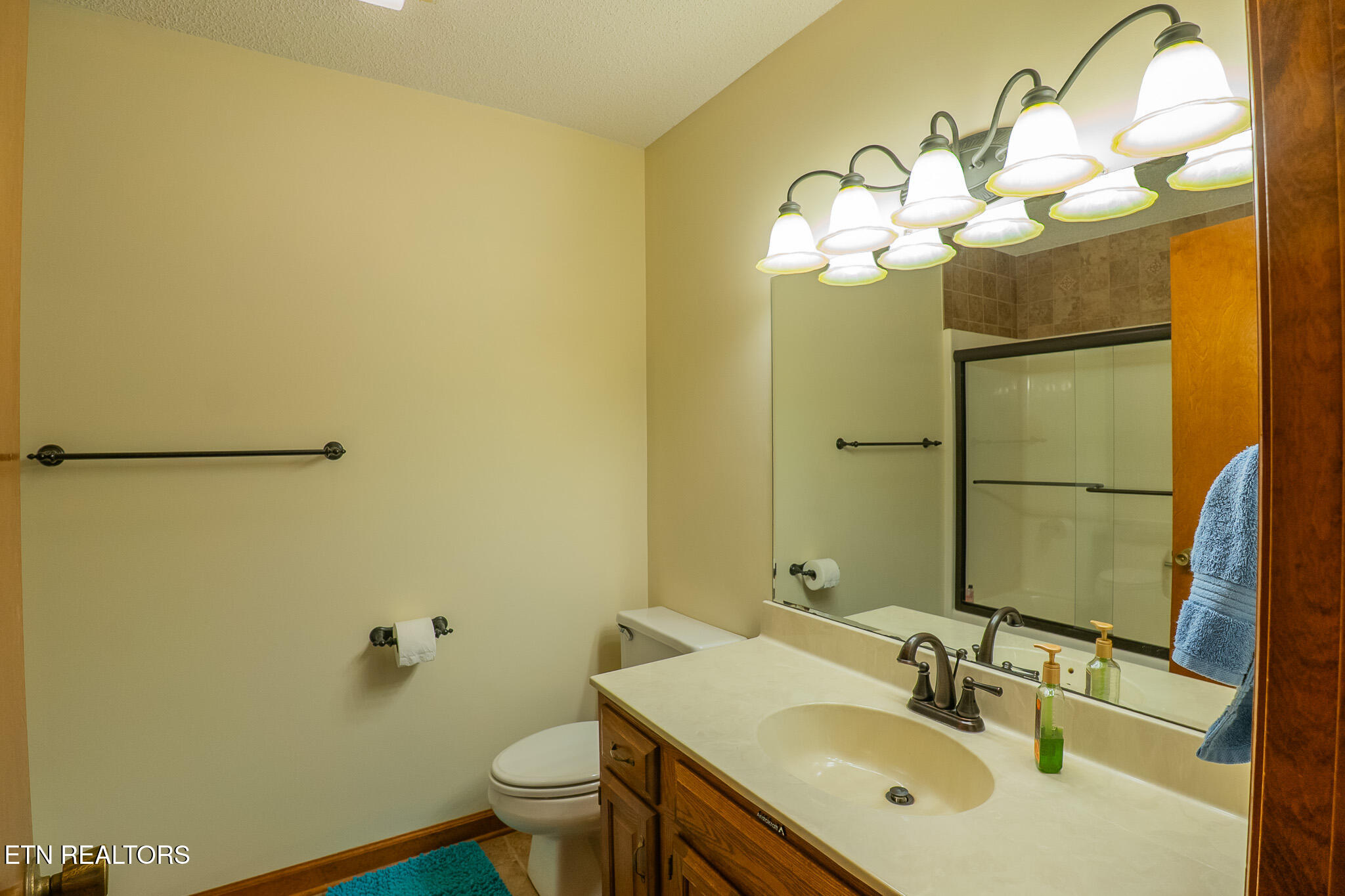 519 Scenic View Drive Seymour TN 37865