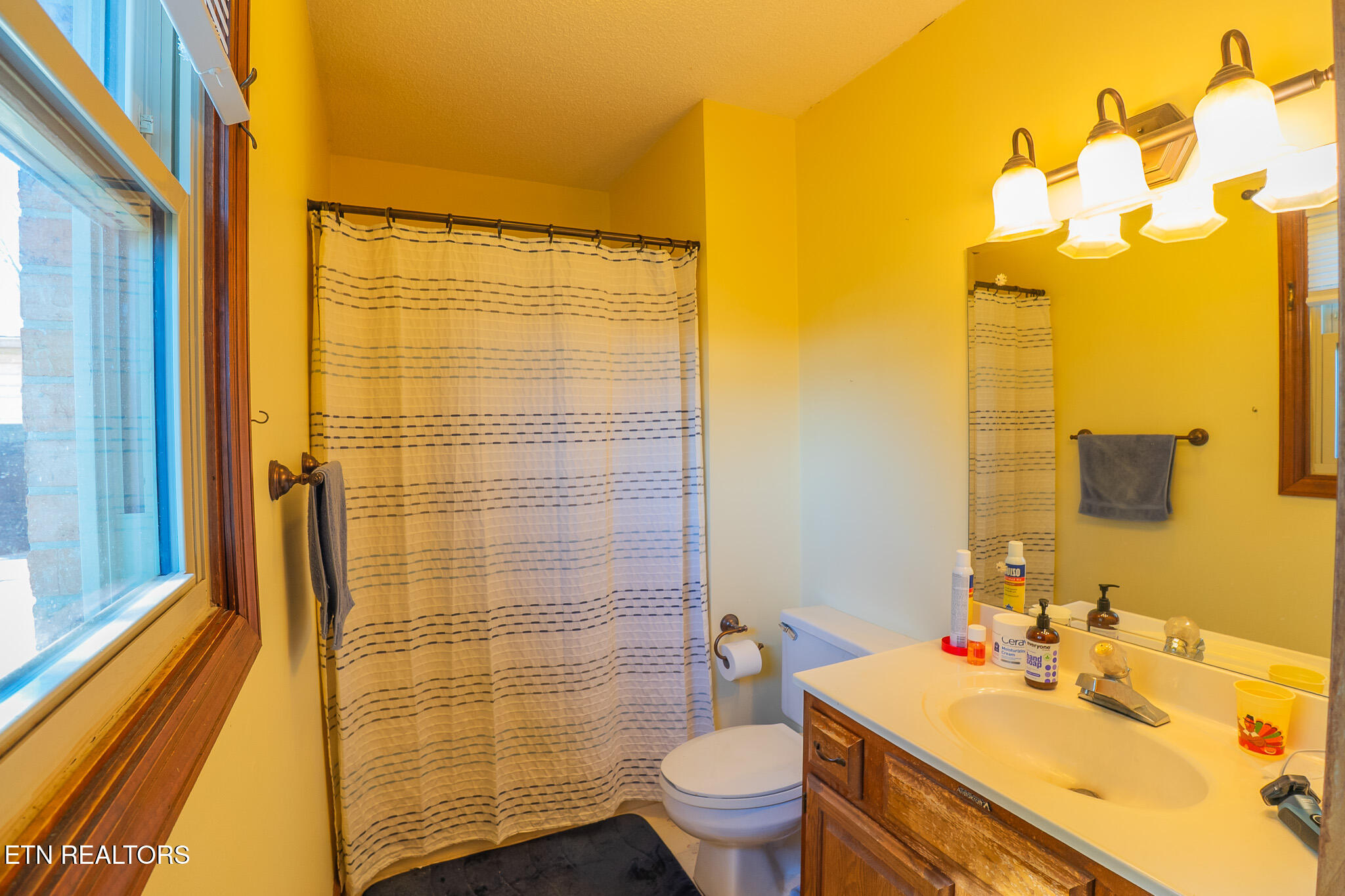 519 Scenic View Drive Seymour TN 37865