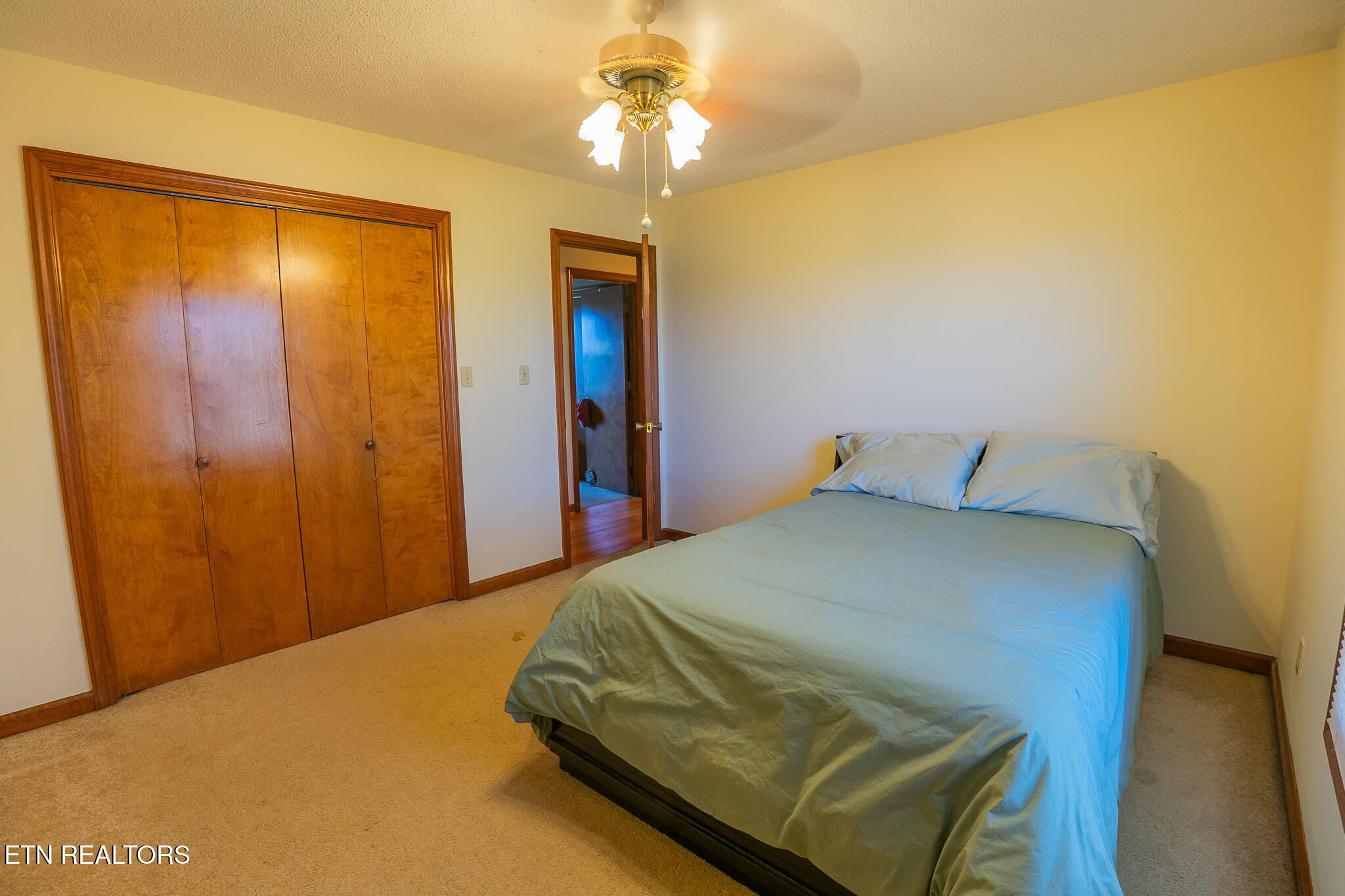 519 Scenic View Drive Seymour TN 37865