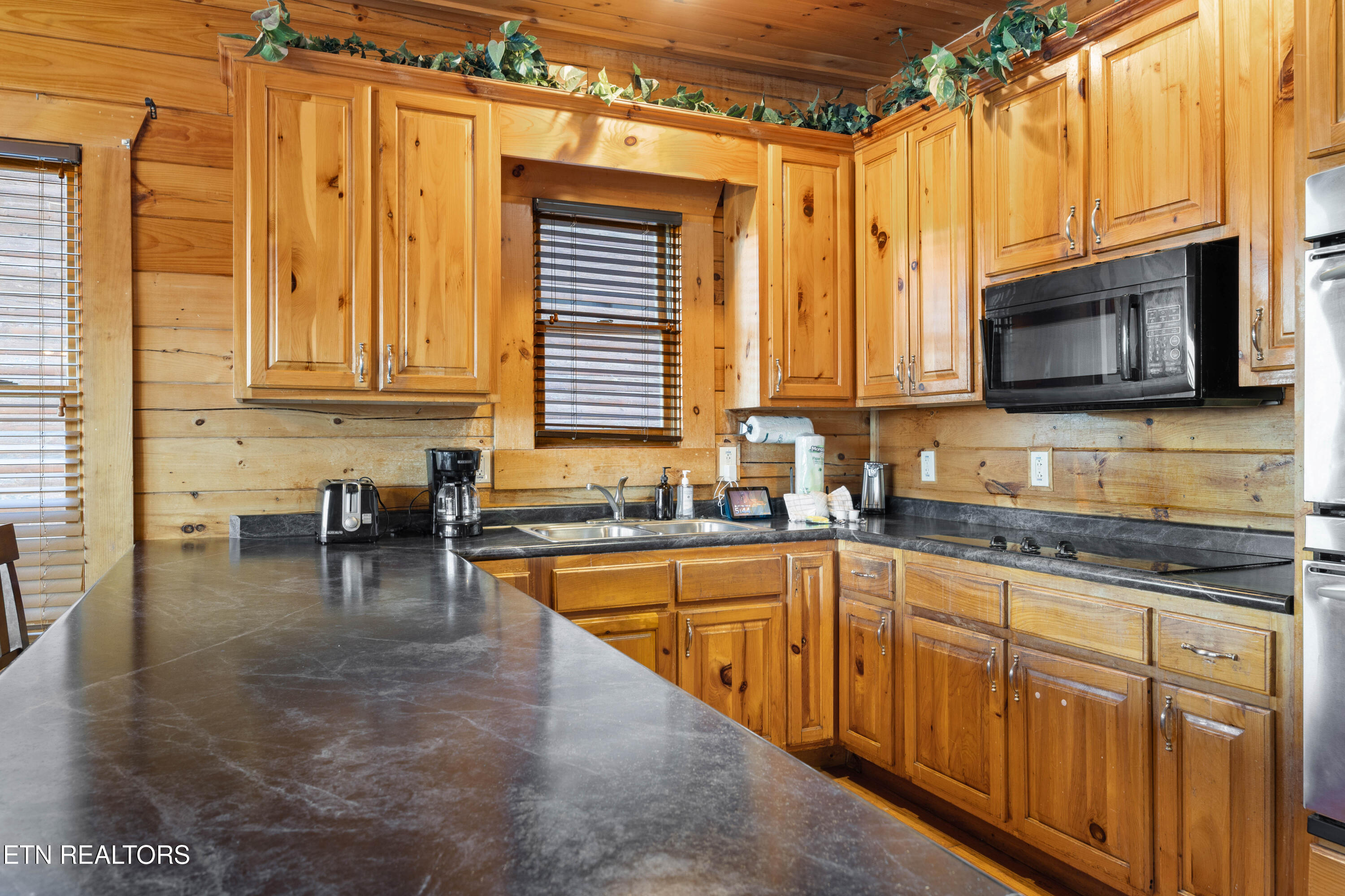 950 Black Bear Cub Way Sevierville TN 37862