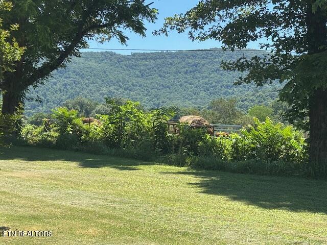 194 Patton Lane Pikeville TN 37367
