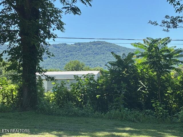 194 Patton Lane Pikeville TN 37367