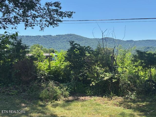 194 Patton Lane Pikeville TN 37367