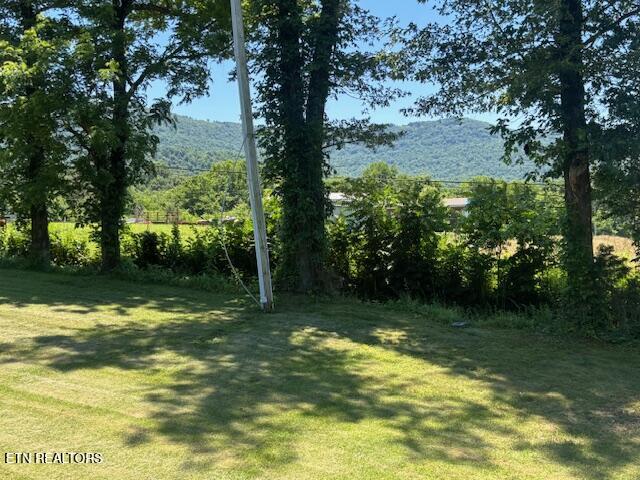 194 Patton Lane Pikeville TN 37367