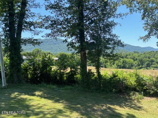 194 Patton Lane Pikeville TN 37367