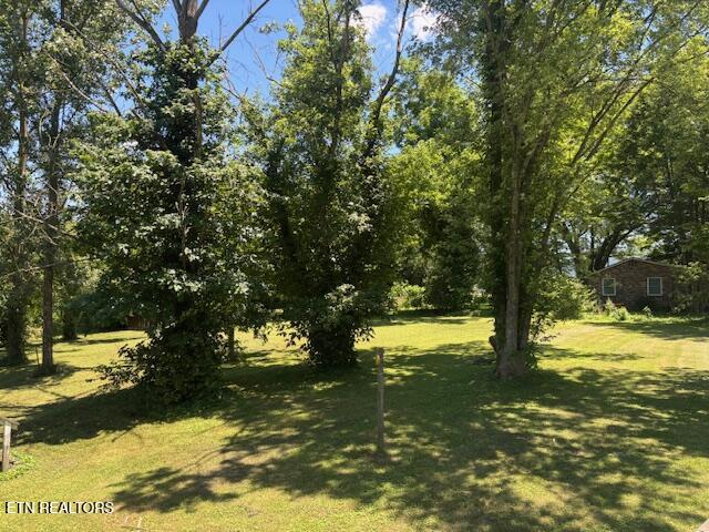 194 Patton Lane Pikeville TN 37367