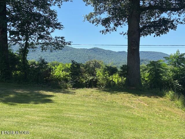 194 Patton Lane Pikeville TN 37367