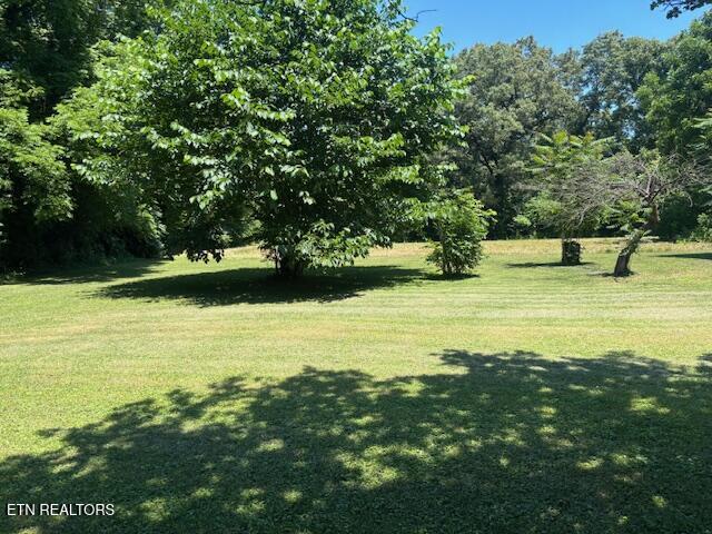 194 Patton Lane Pikeville TN 37367