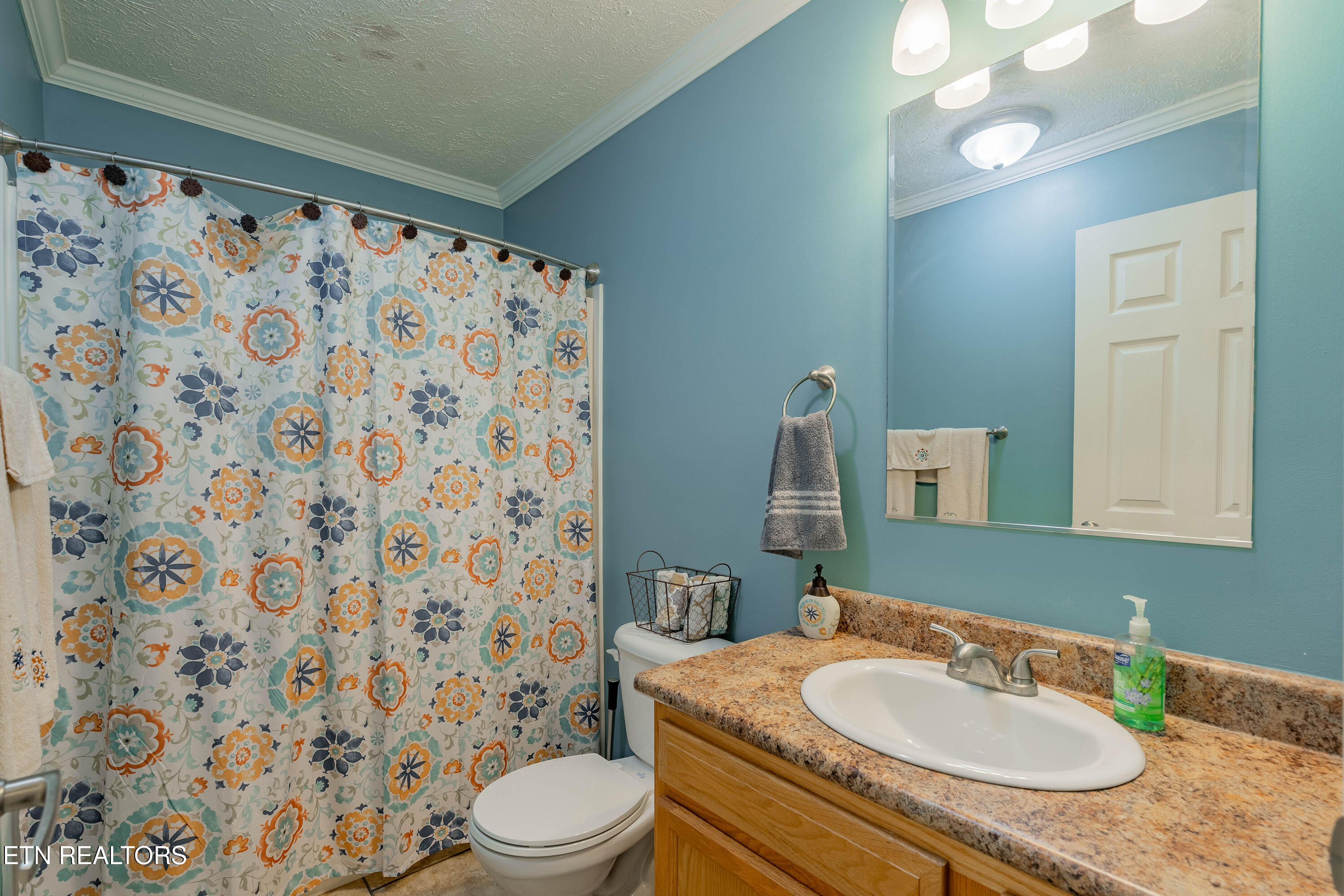 338 Old Clear Branch Lane Rocky Top TN 37769