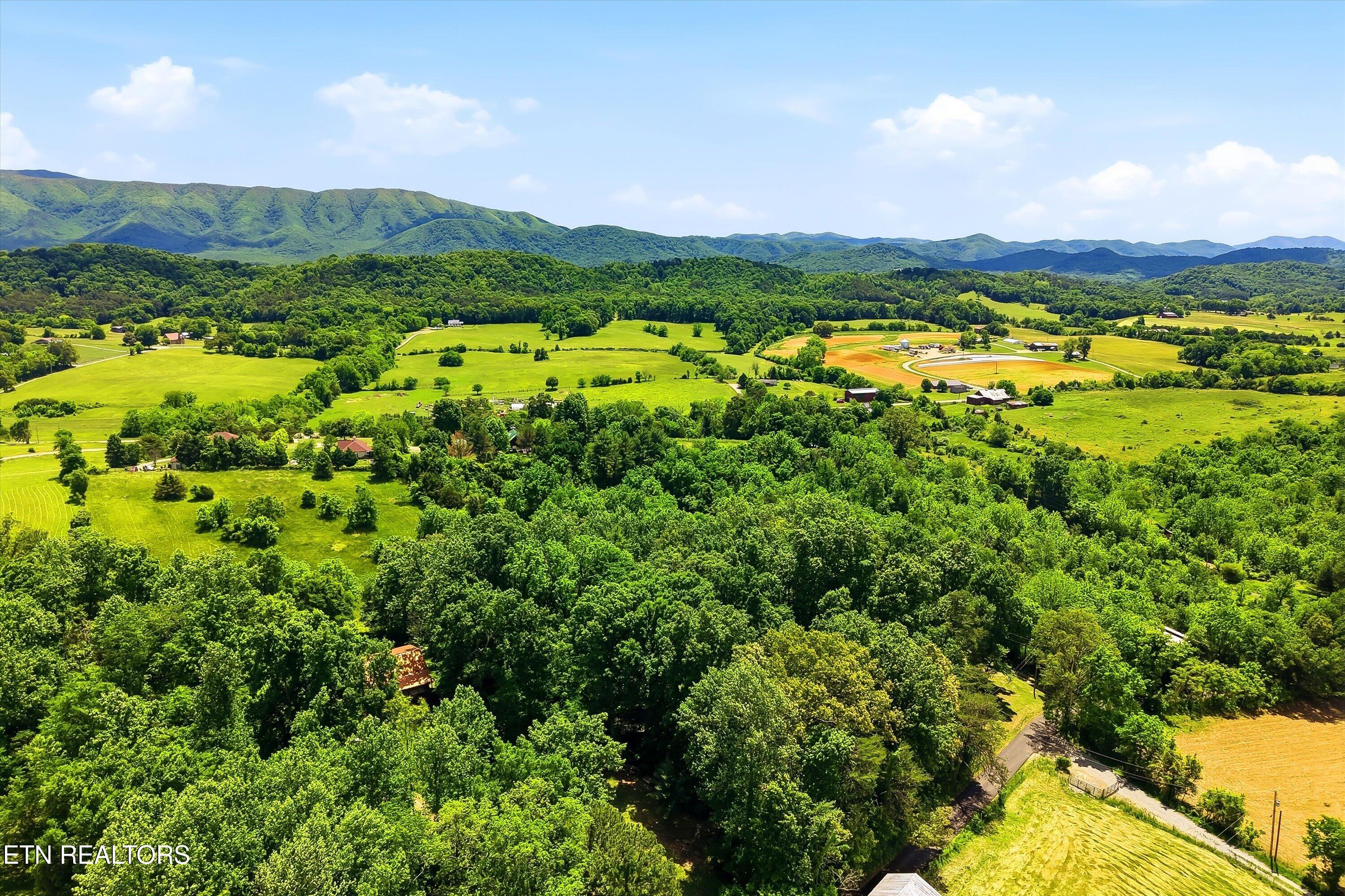 98 Cal Dobson Trail Greeneville TN 37743