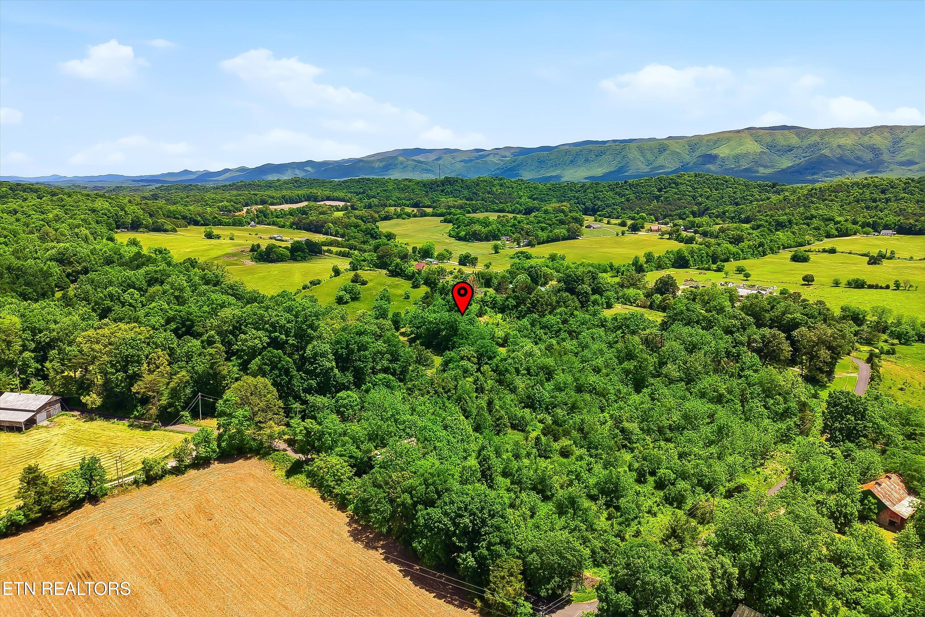 98 Cal Dobson Trail Greeneville TN 37743