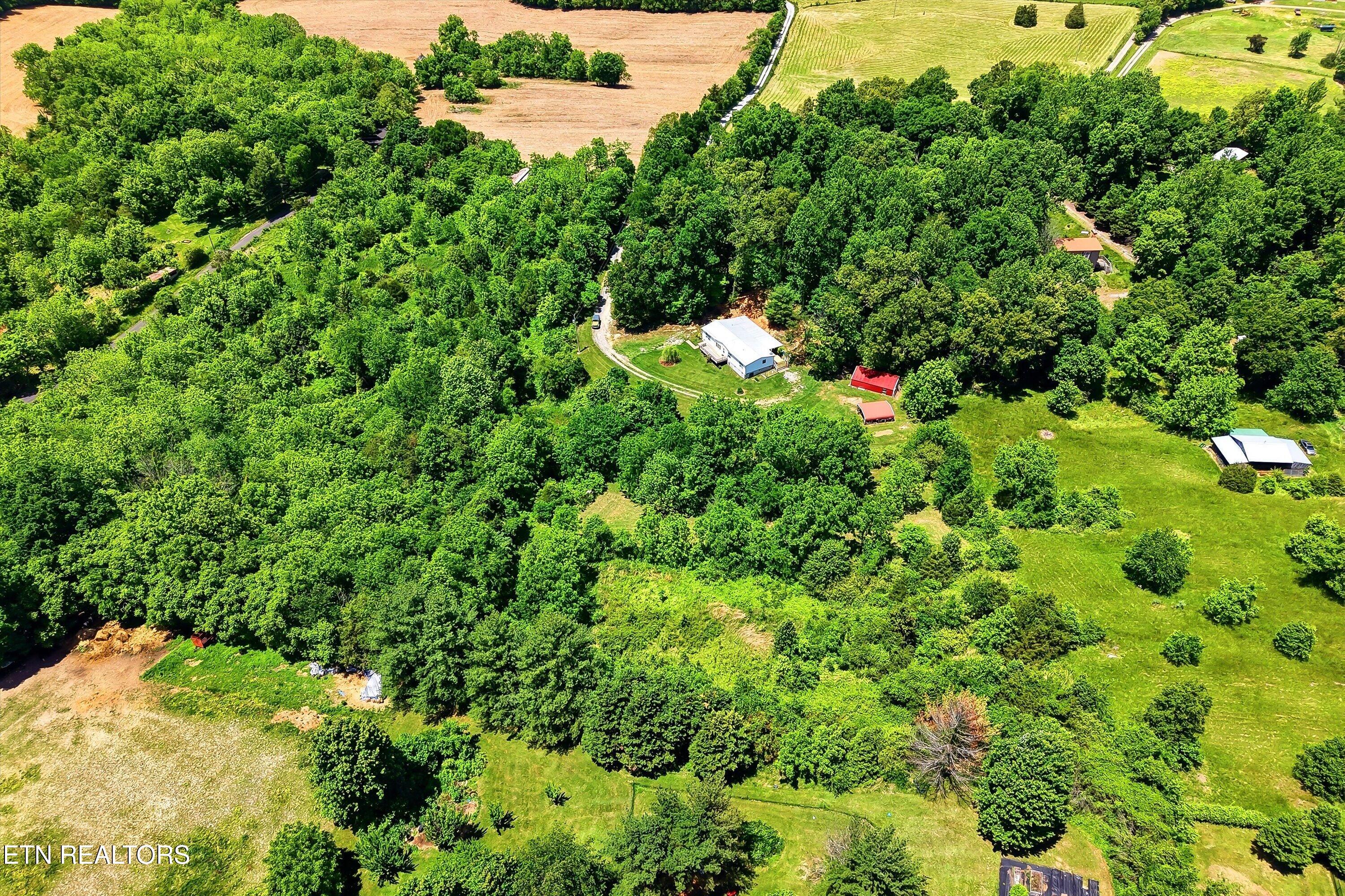98 Cal Dobson Trail Greeneville TN 37743
