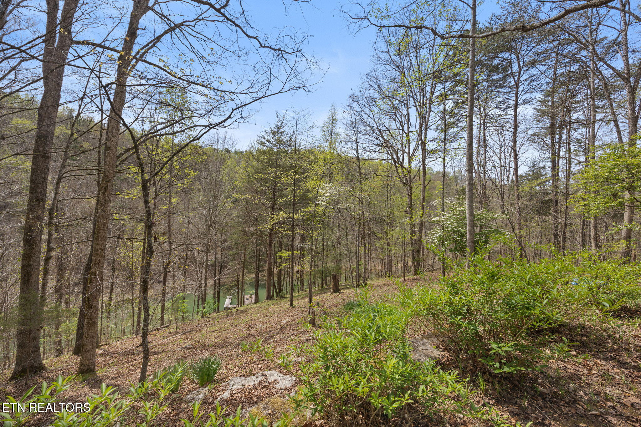 258 Marina Lane Lafollette TN 37766