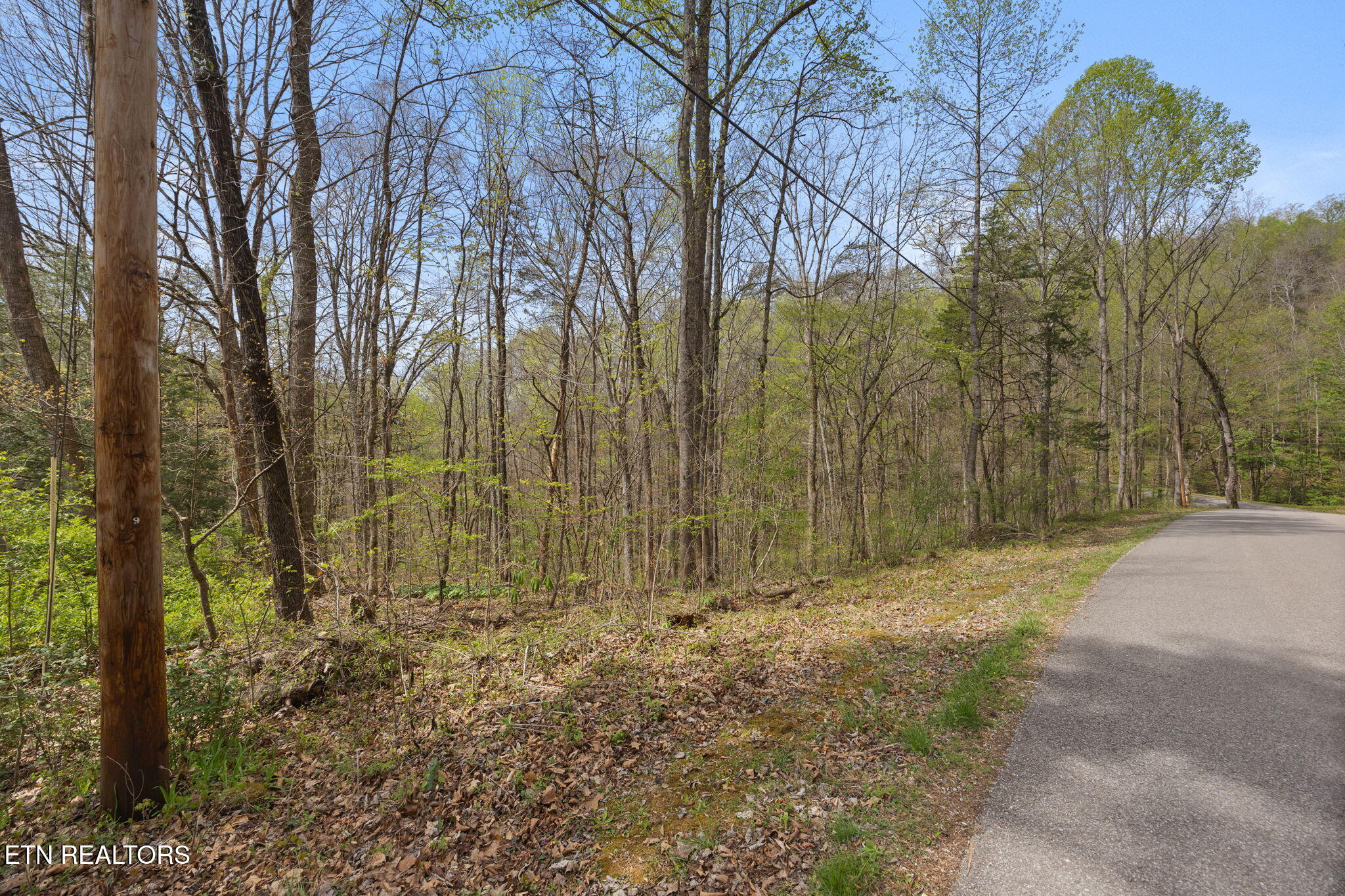 258 Marina Lane Lafollette TN 37766