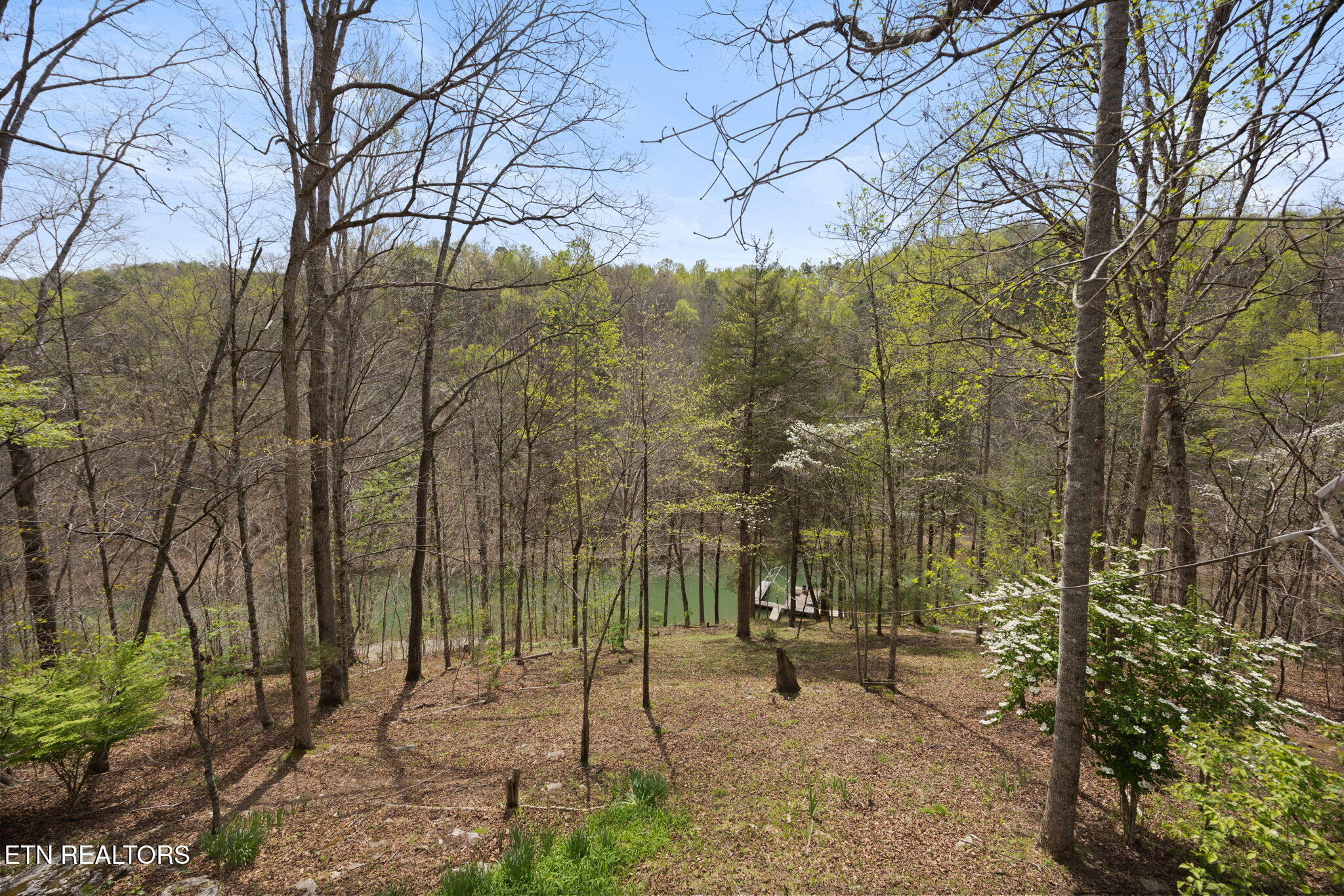 258 Marina Lane Lafollette TN 37766