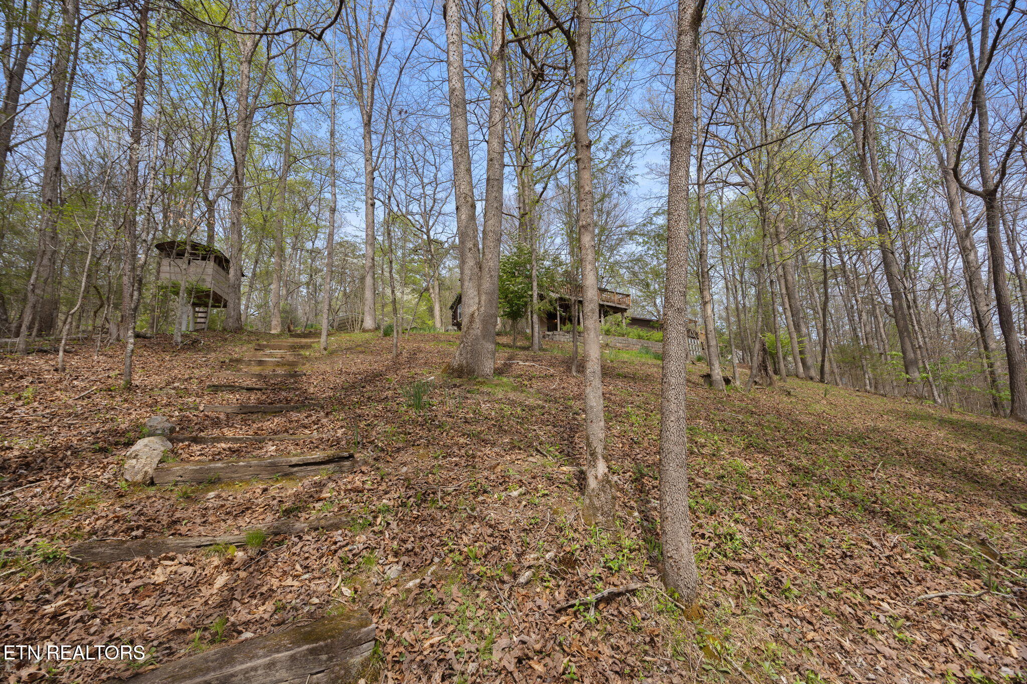 258 Marina Lane Lafollette TN 37766