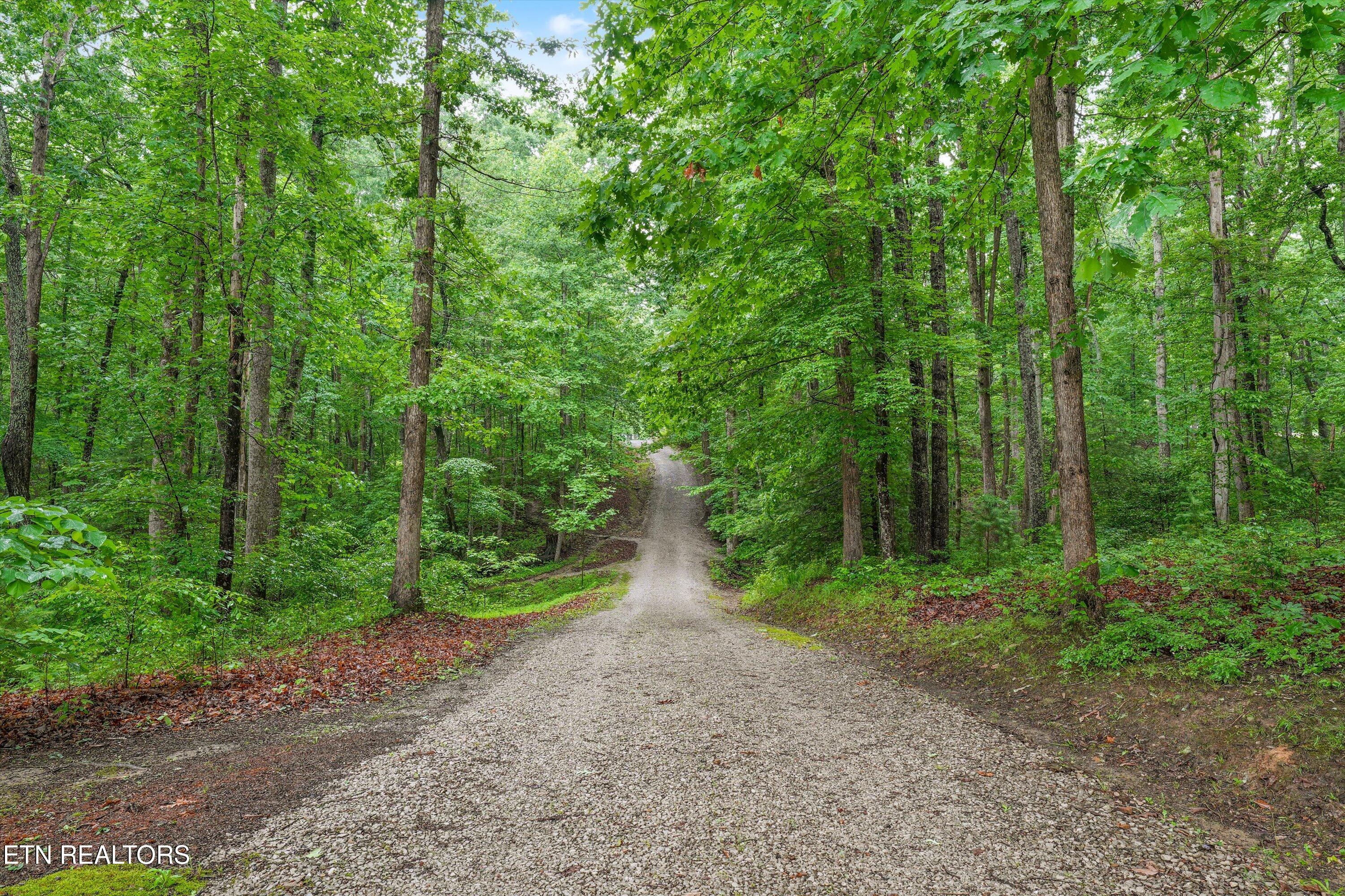 7043 Dogwood Road Grandview TN 37337