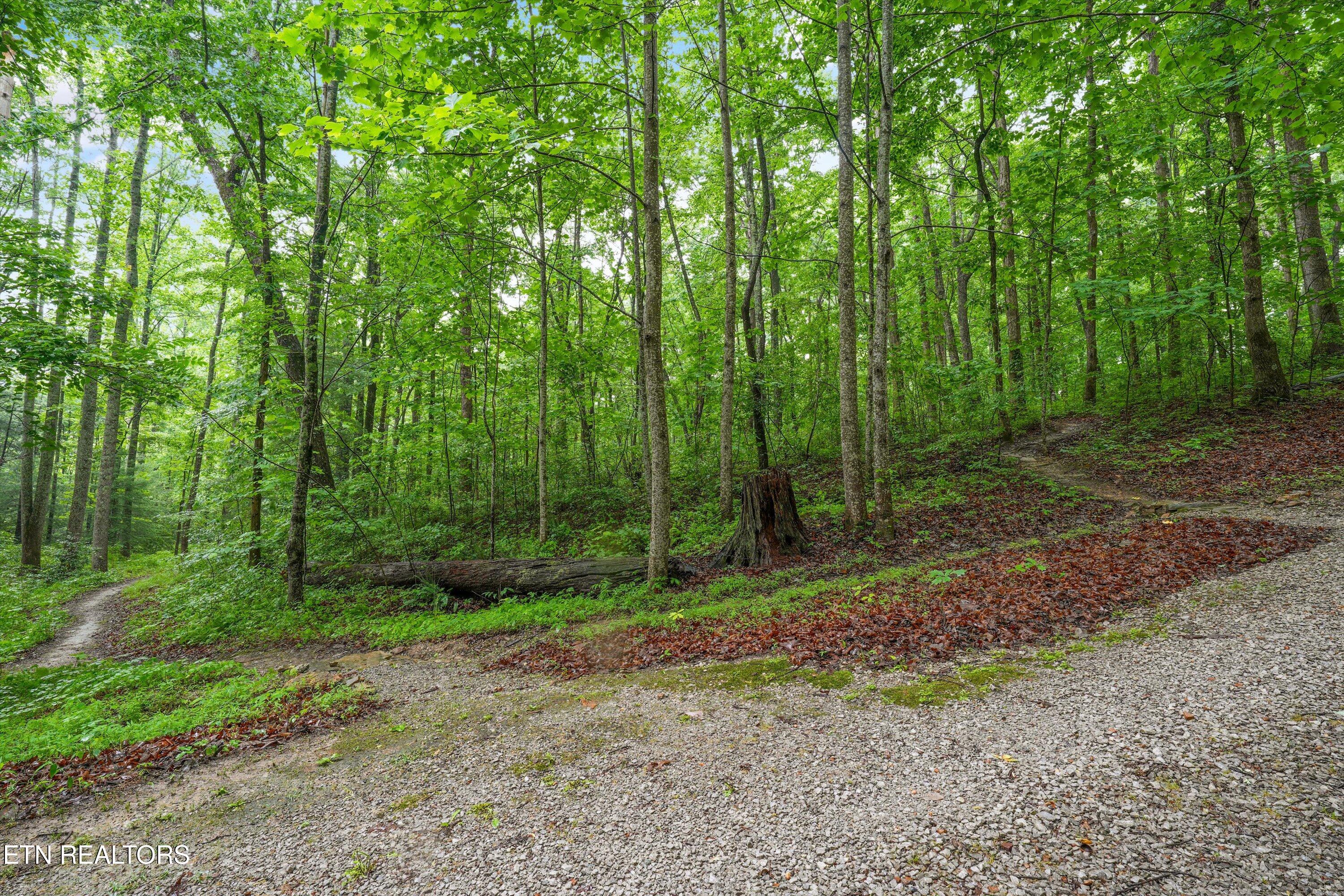 7043 Dogwood Road Grandview TN 37337