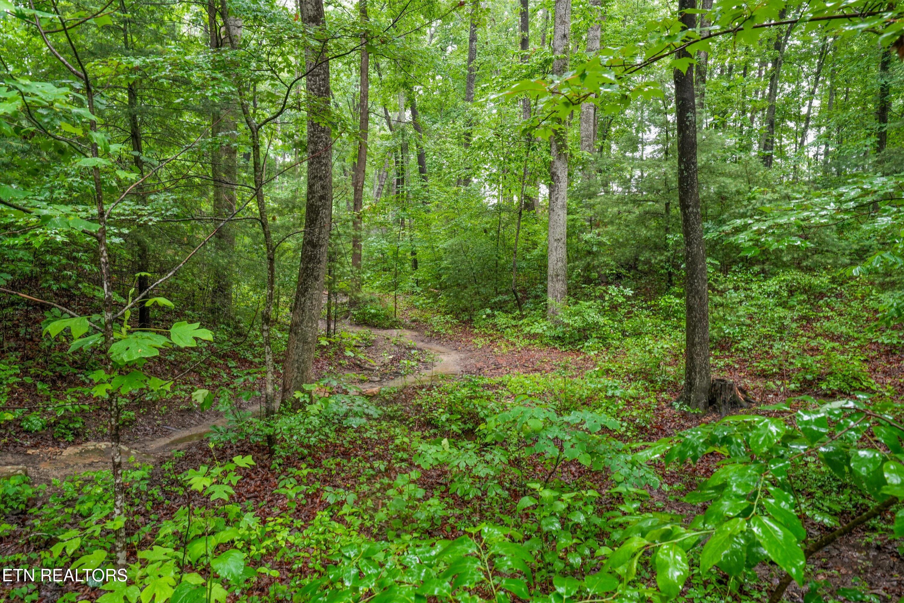 7043 Dogwood Road Grandview TN 37337