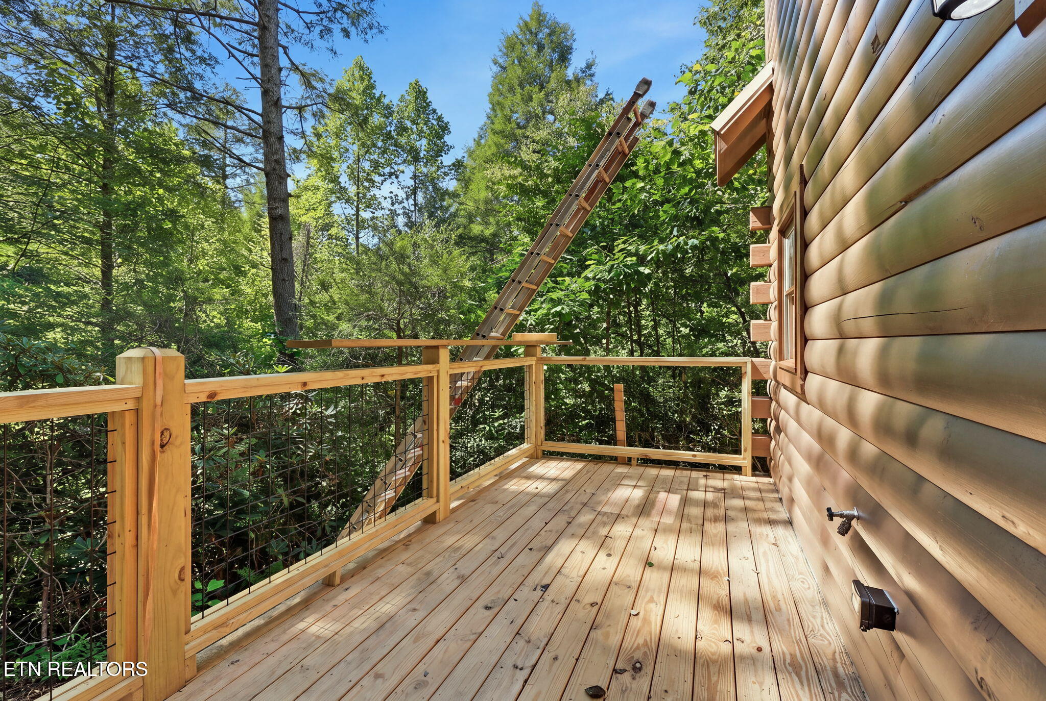 1607 Mountain Shadow Way Gatlinburg TN 37738