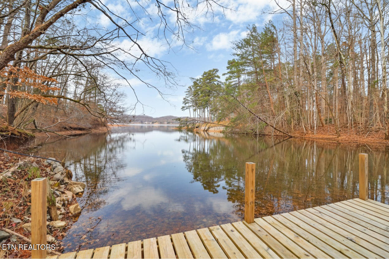 1325 Torbett Road Spring City TN 37381