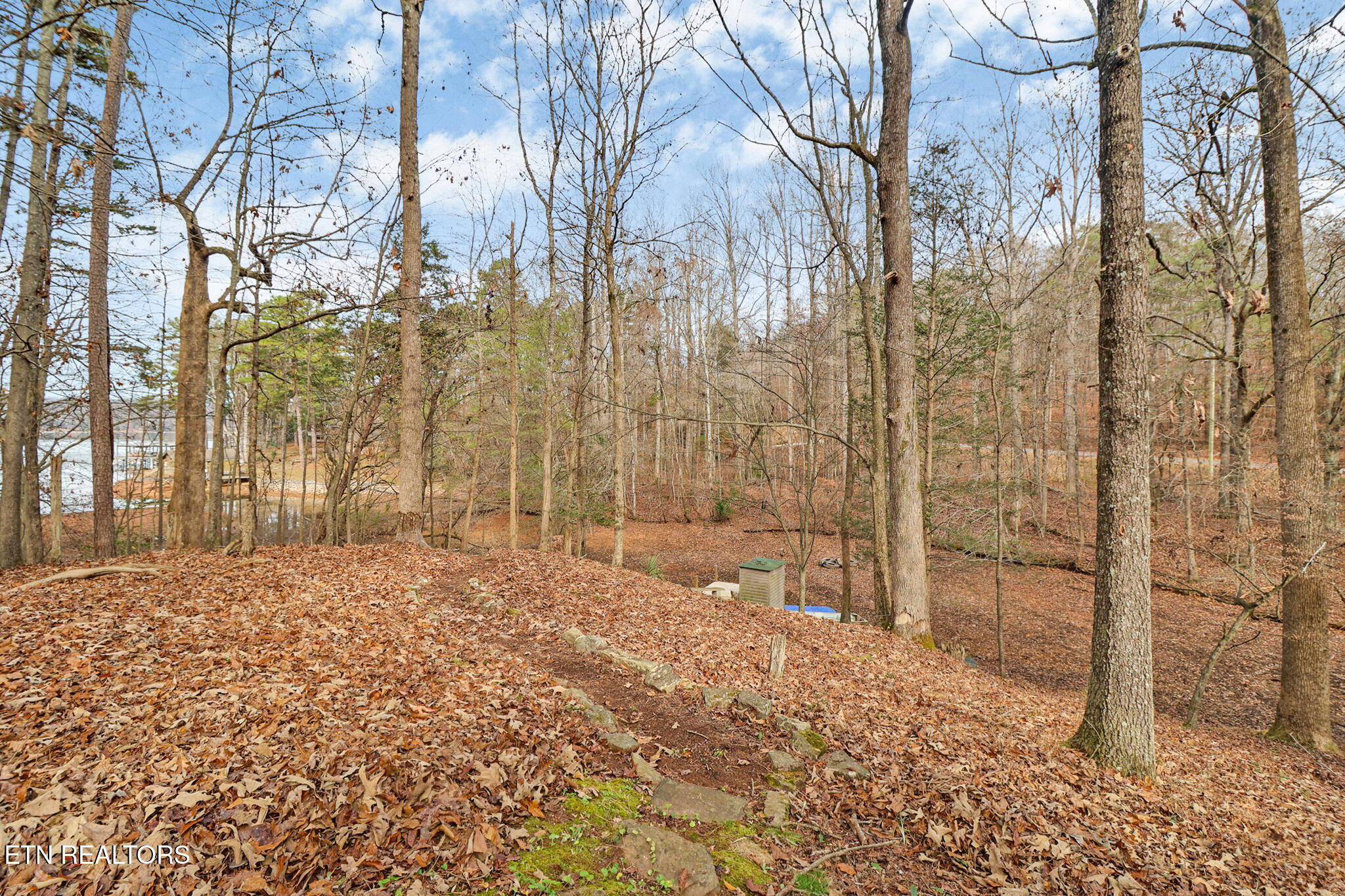 1325 Torbett Road Spring City TN 37381