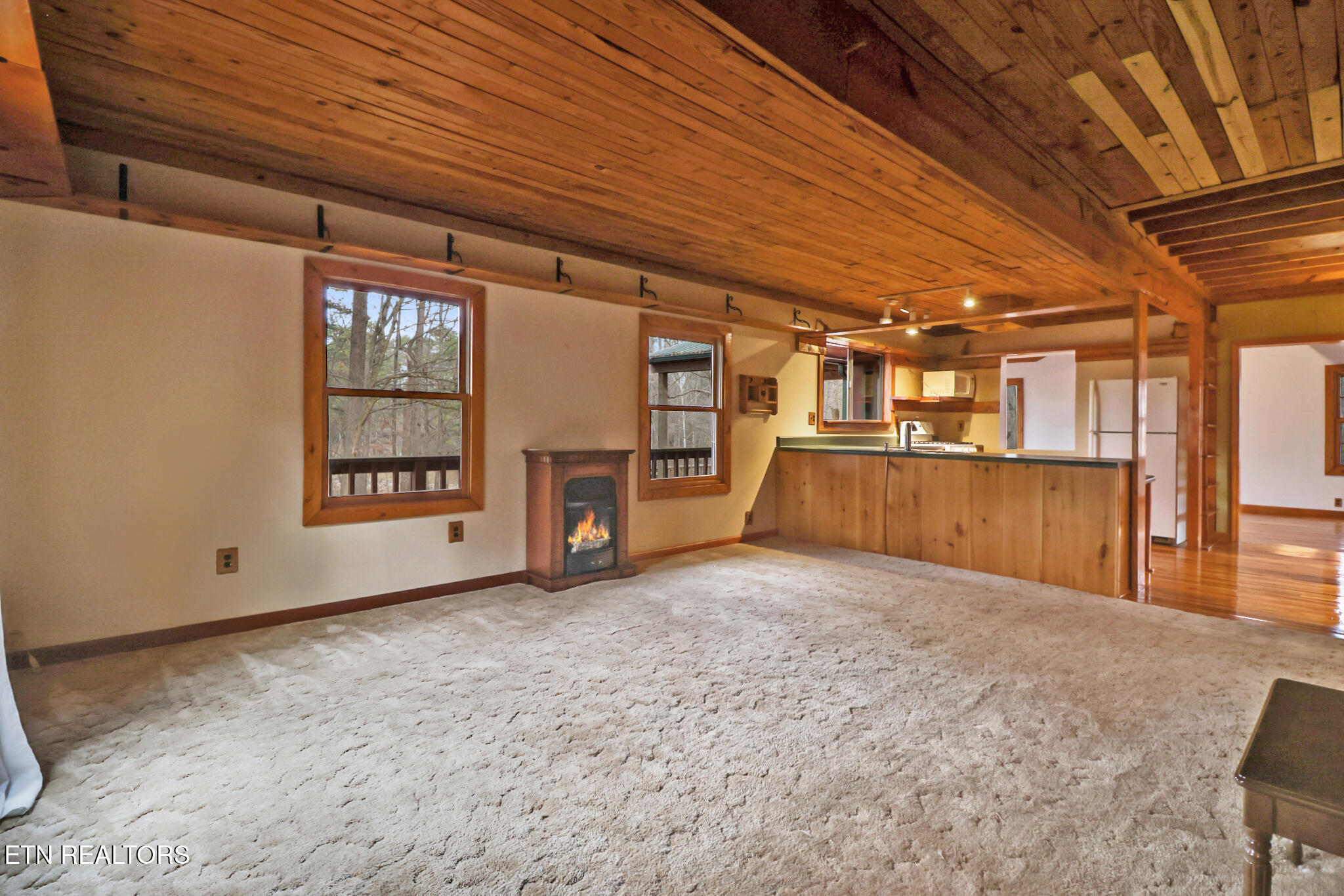 1325 Torbett Road Spring City TN 37381