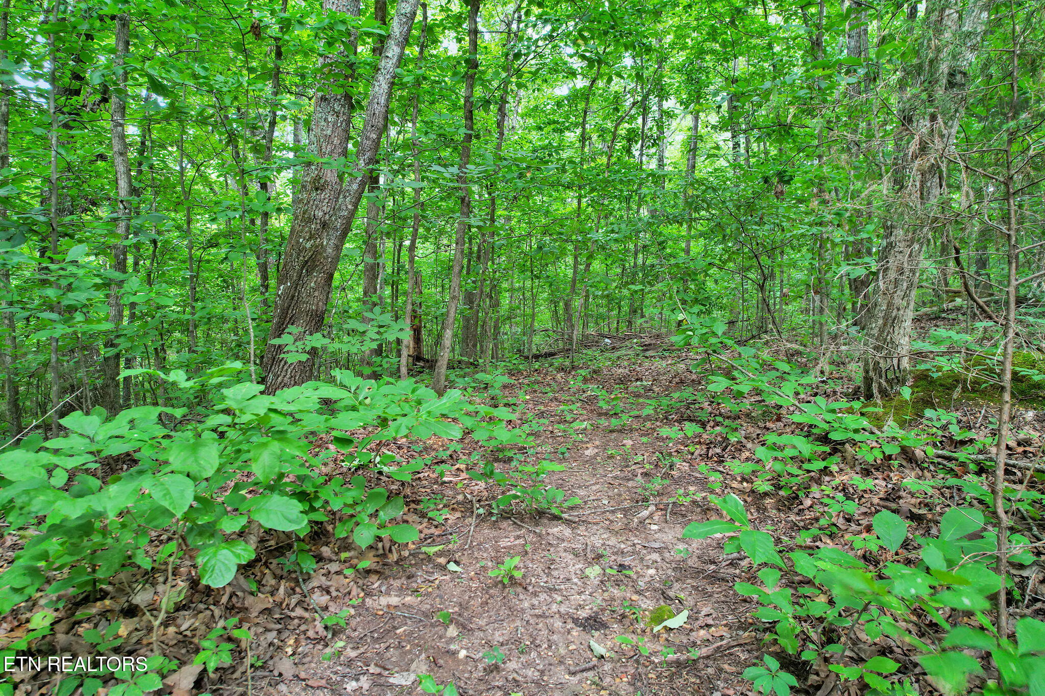 4500 Waterlevel Highway Cleveland TN 37323