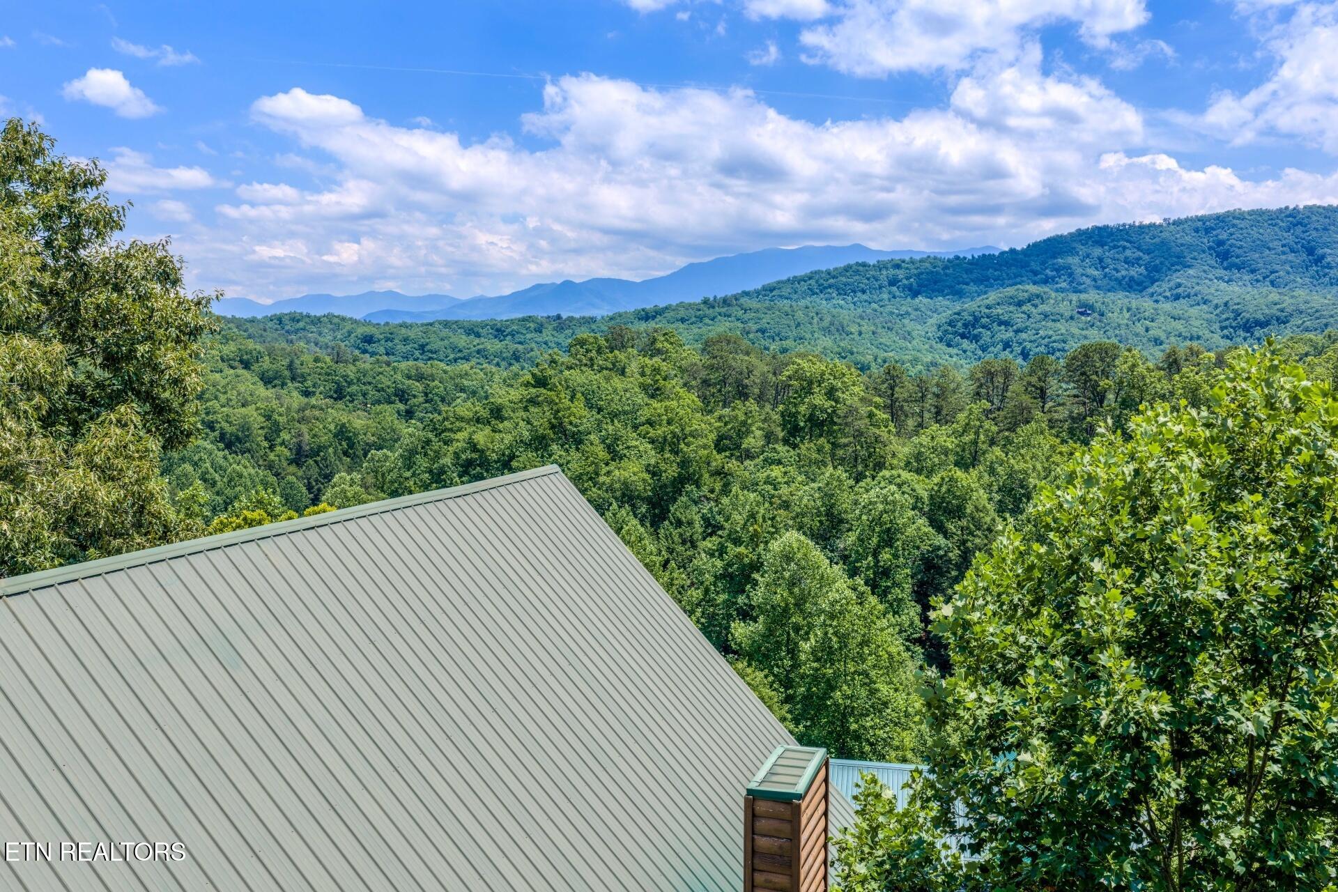 4519 Forest Vista Way Pigeon Forge TN 37863