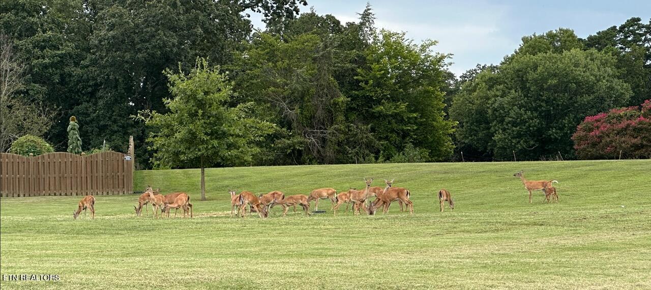 2225 Henge Point Lane Knoxville TN 37922